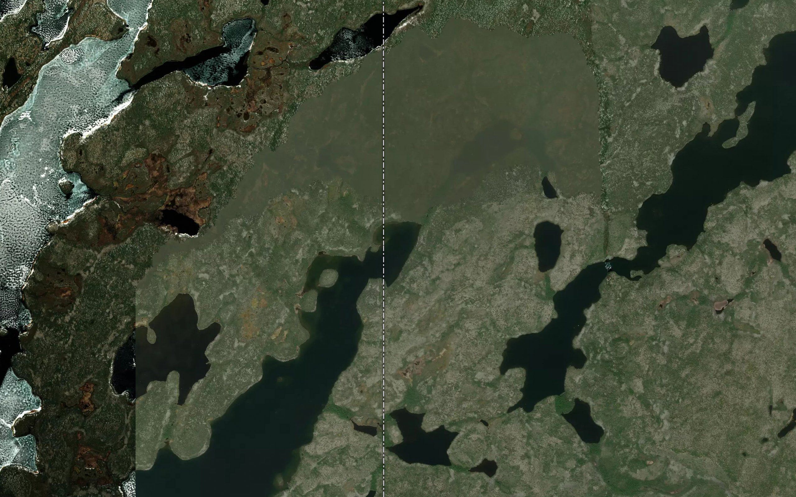 Cameron Bay