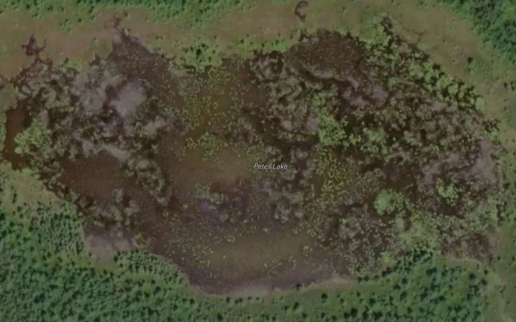 Satellite map of the Petes Lake