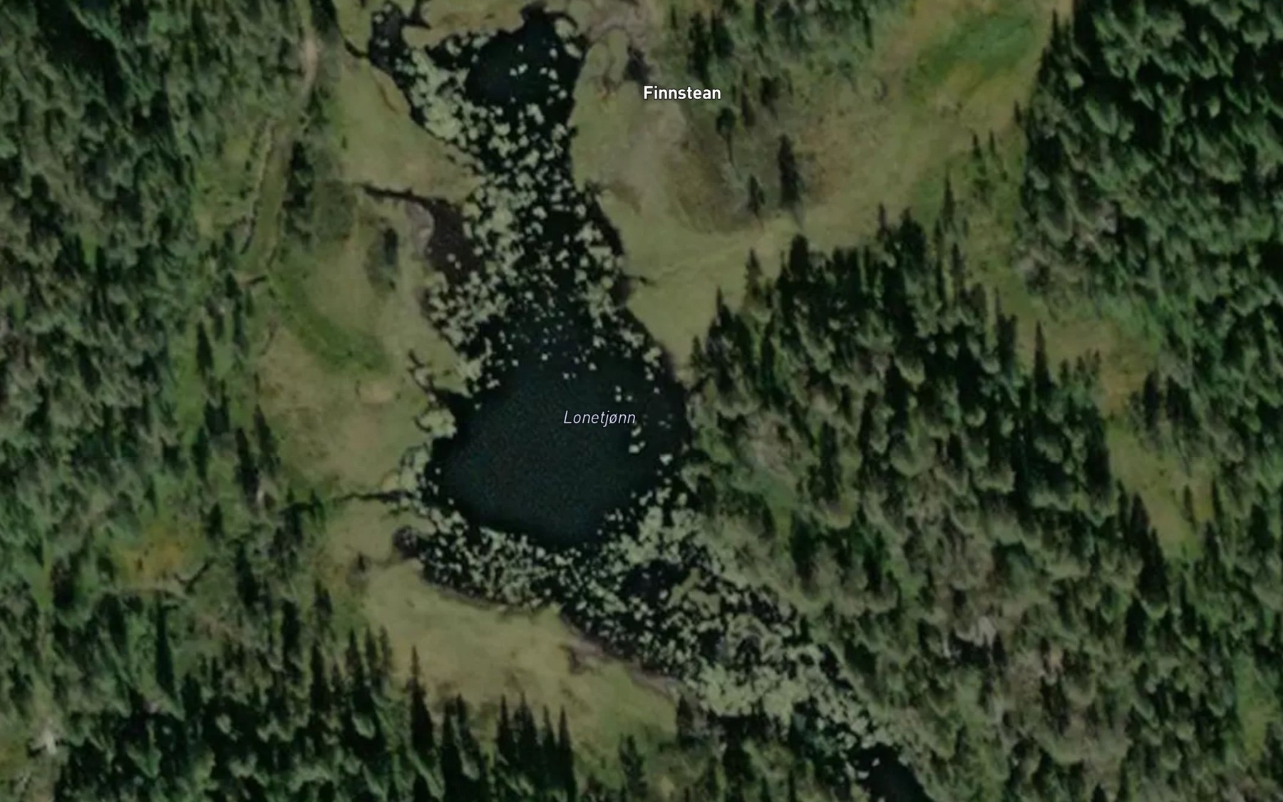 Satellite map of the Lonetjonn