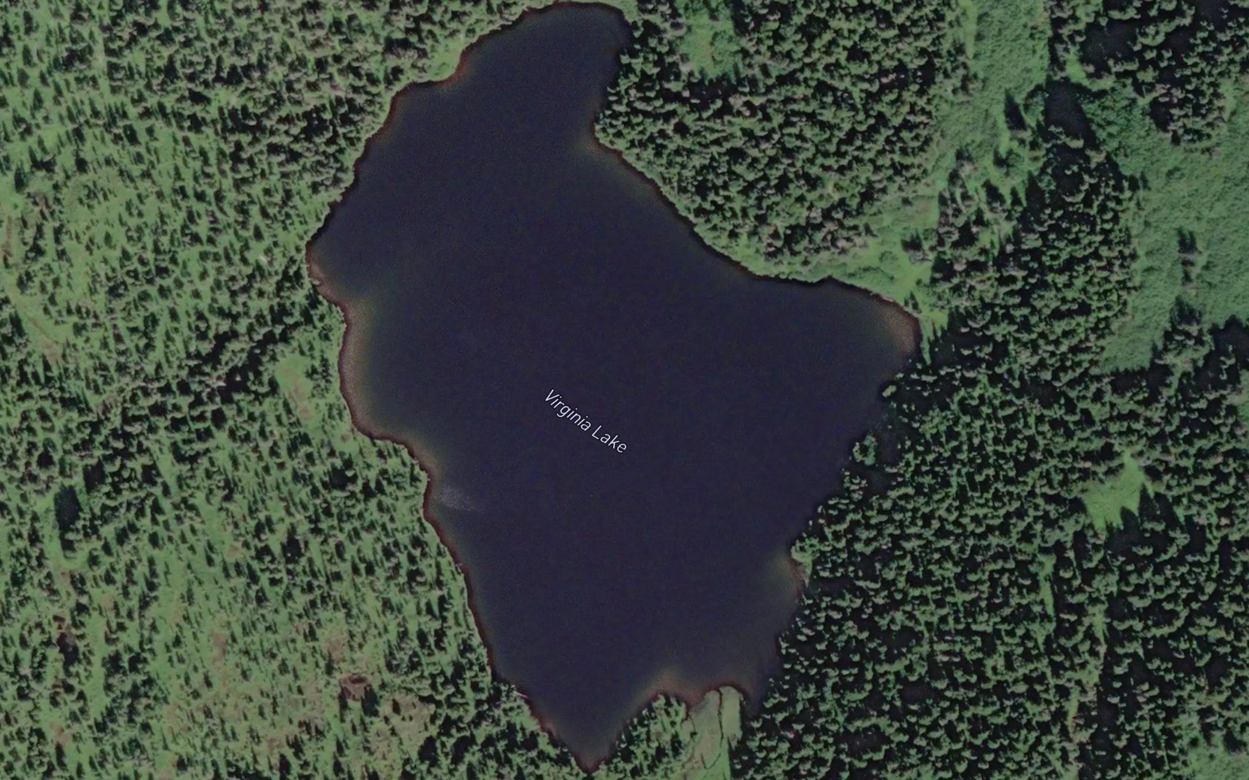 Virginia Lake