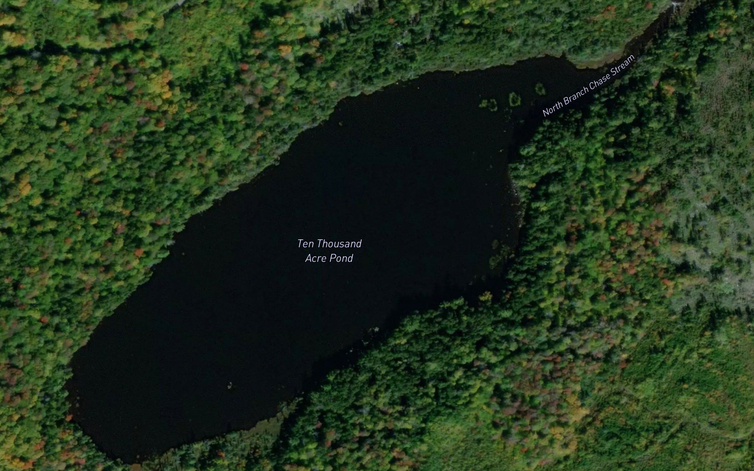 Ten Thousand Acre Pond
