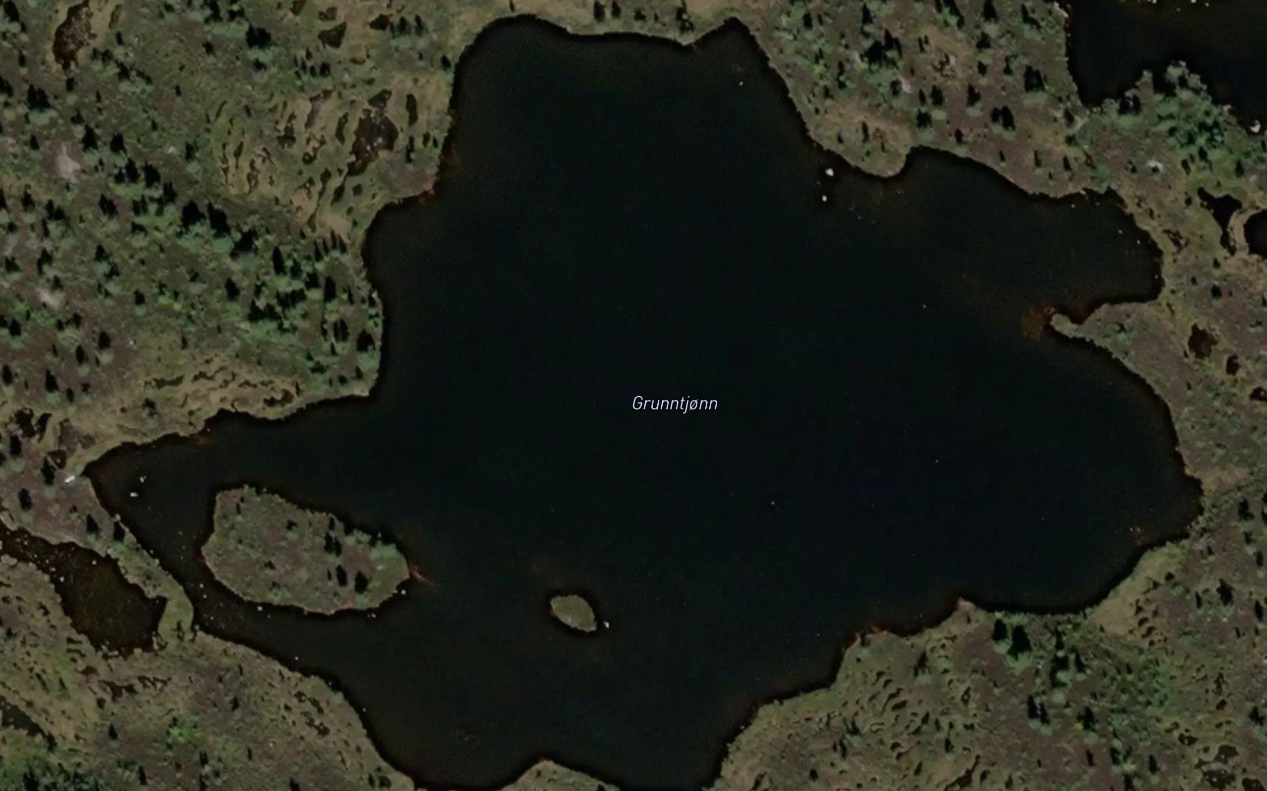 Grunntjorn
