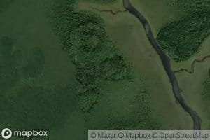Shiners Creek