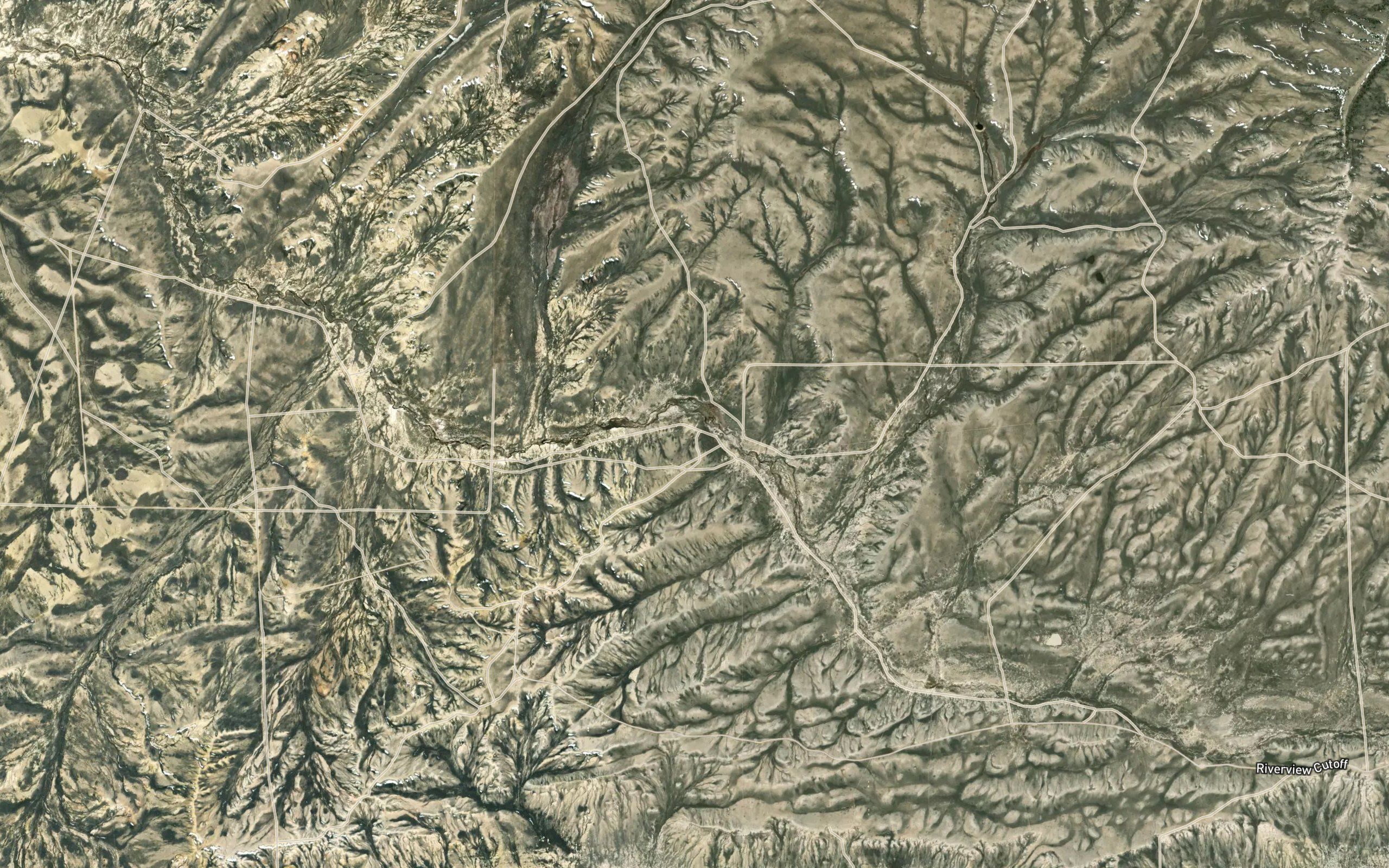 Tierney Spring