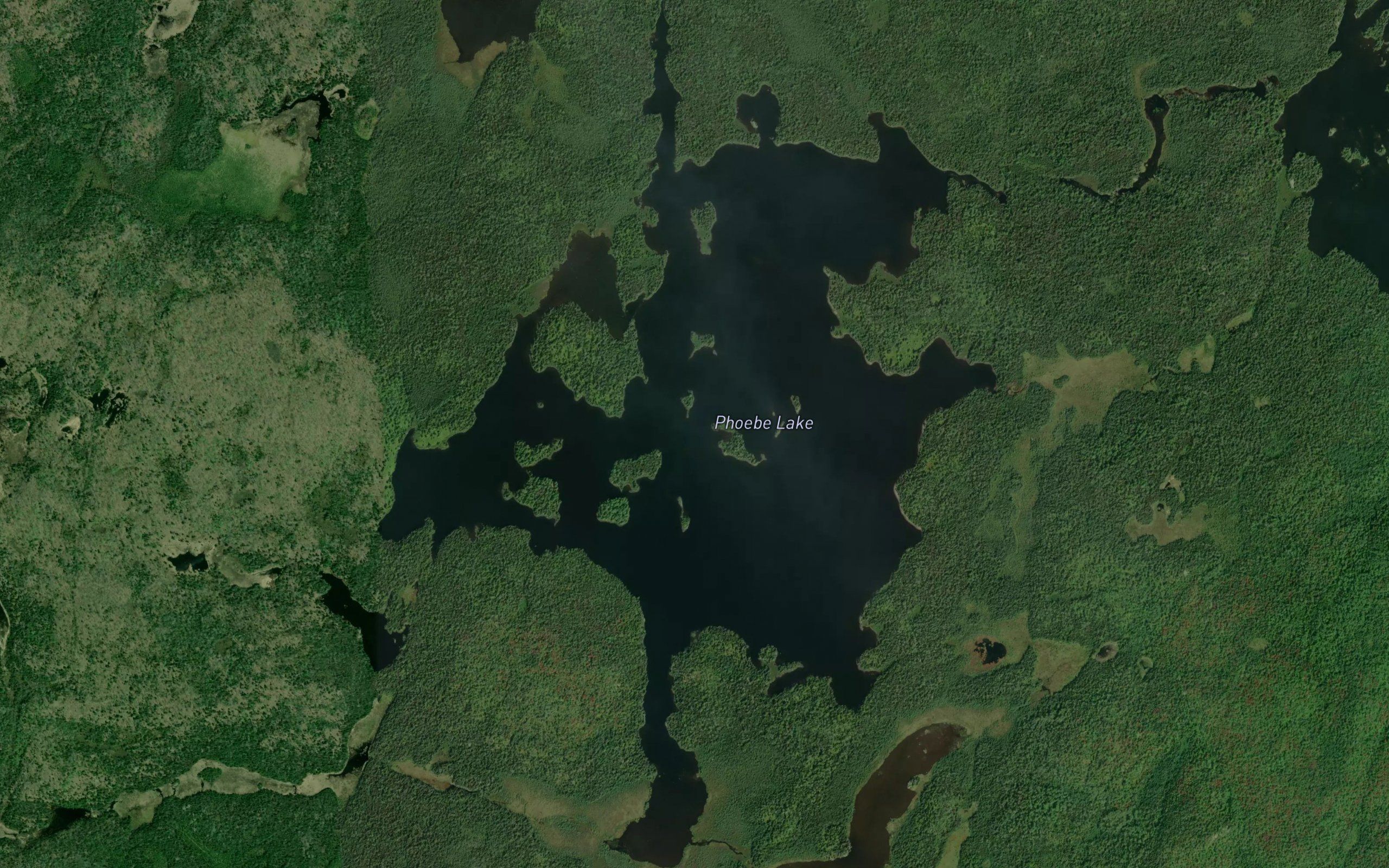Phoebe Lake