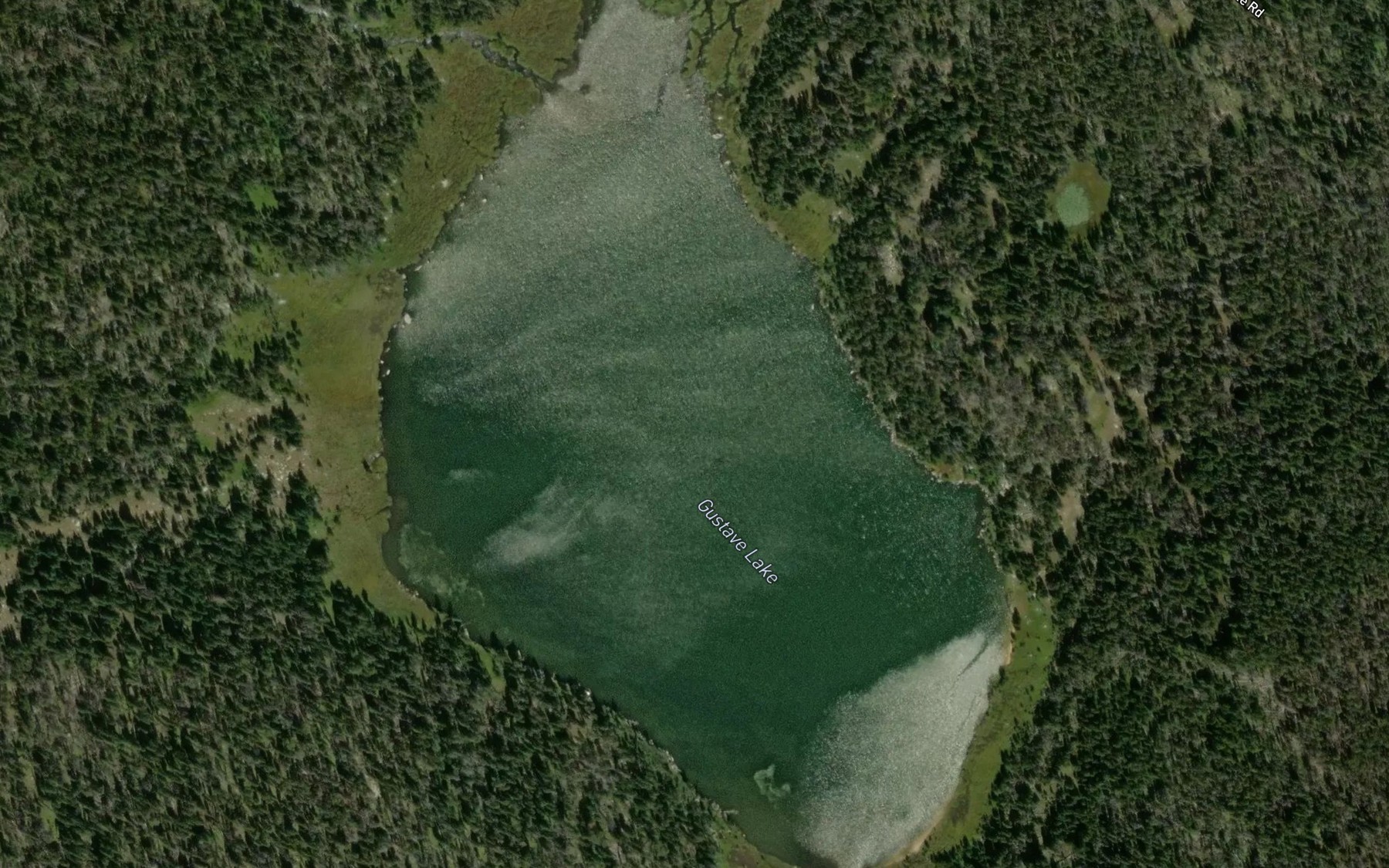 Satellite map of the Gustave Lake