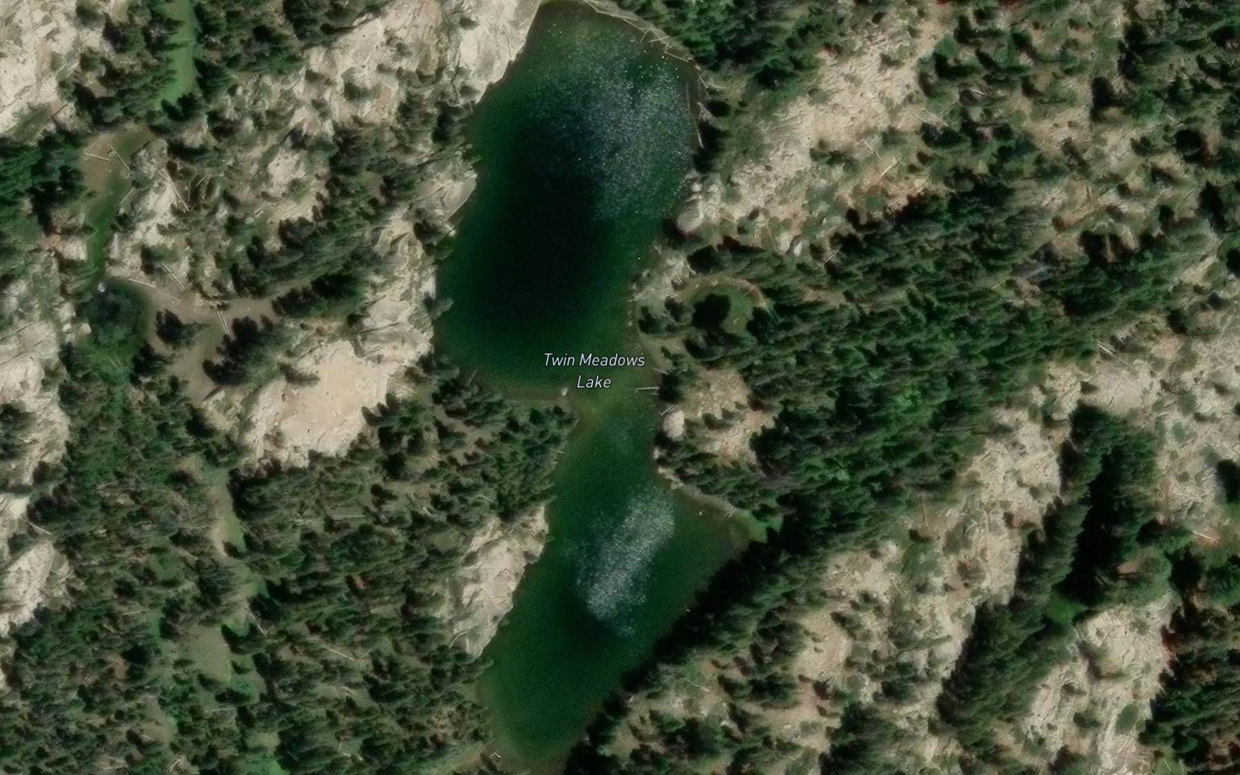 Satellite map of the Twin Meadows Lake