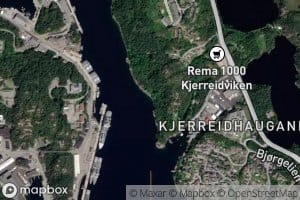 Djupakastet