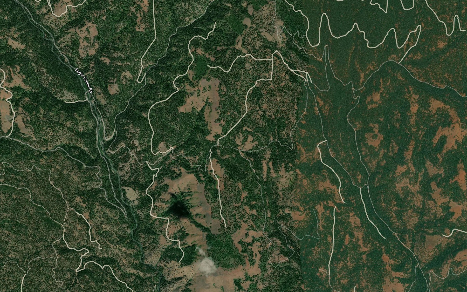 Satellite map of the Holcomb Spring