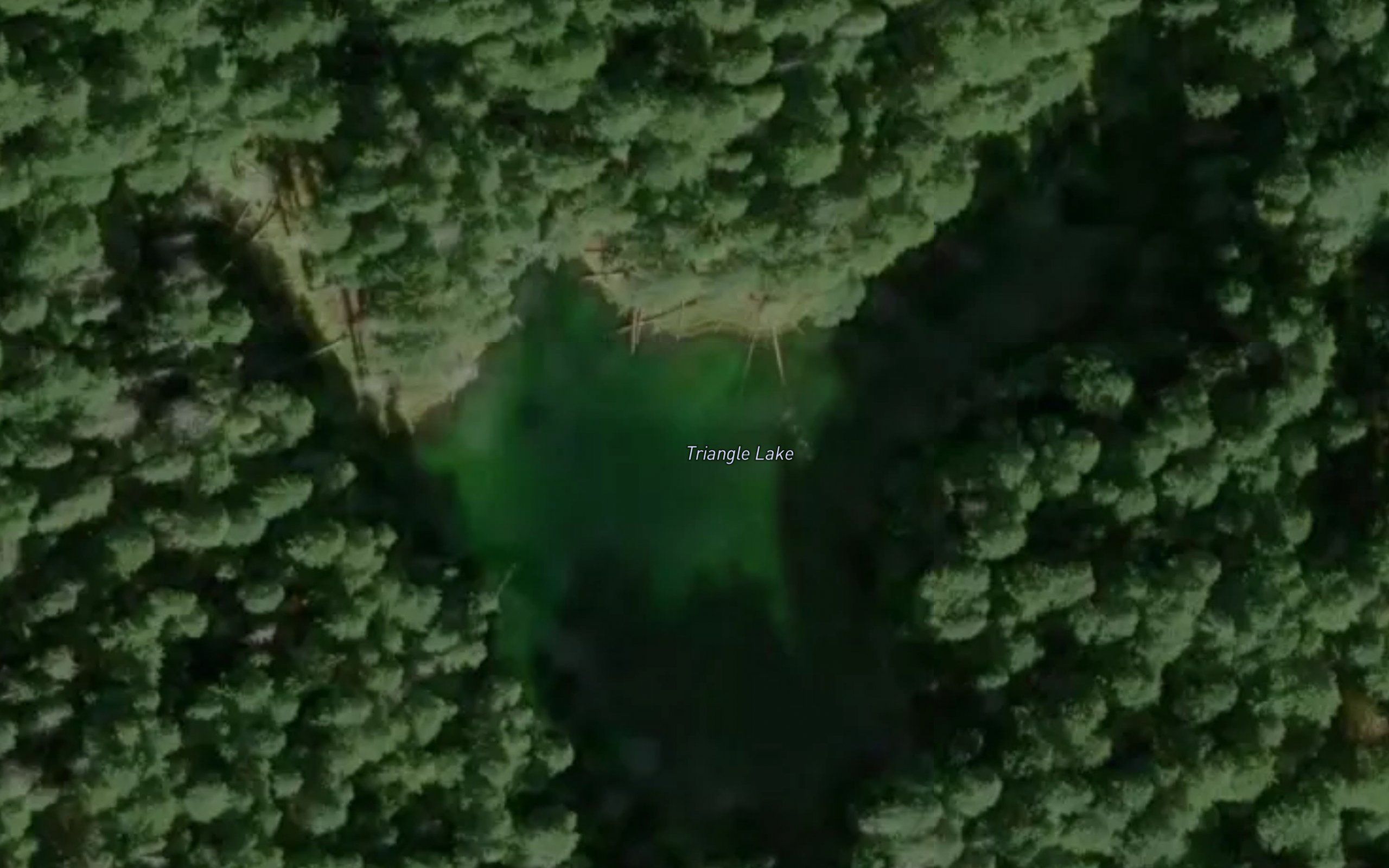 Triangle Lake