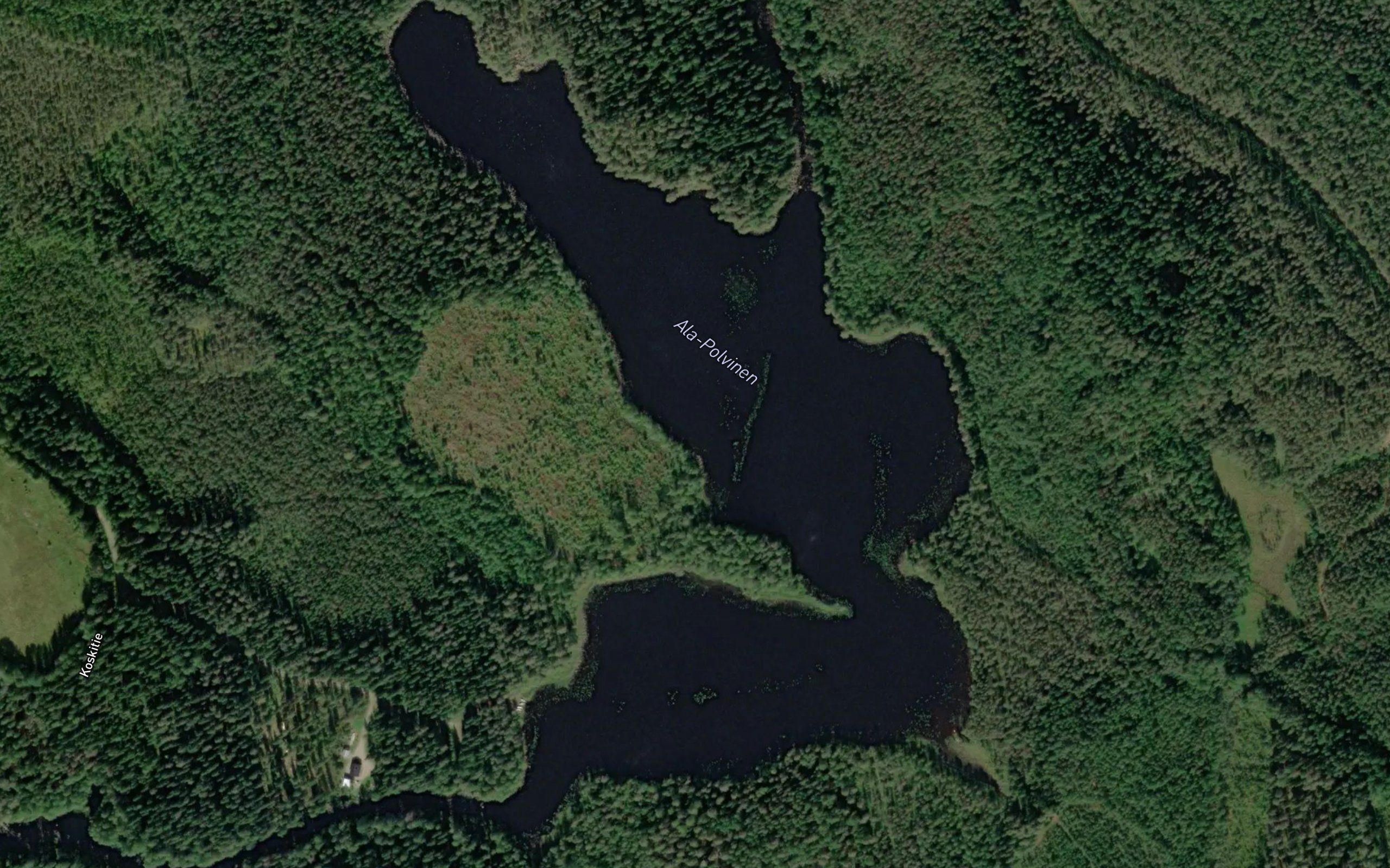 Ala-Polvinen
