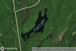 Cod Lake