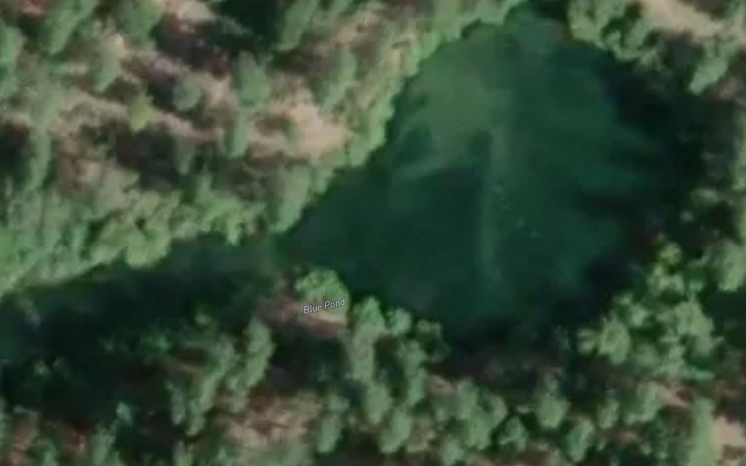 Blue Pond