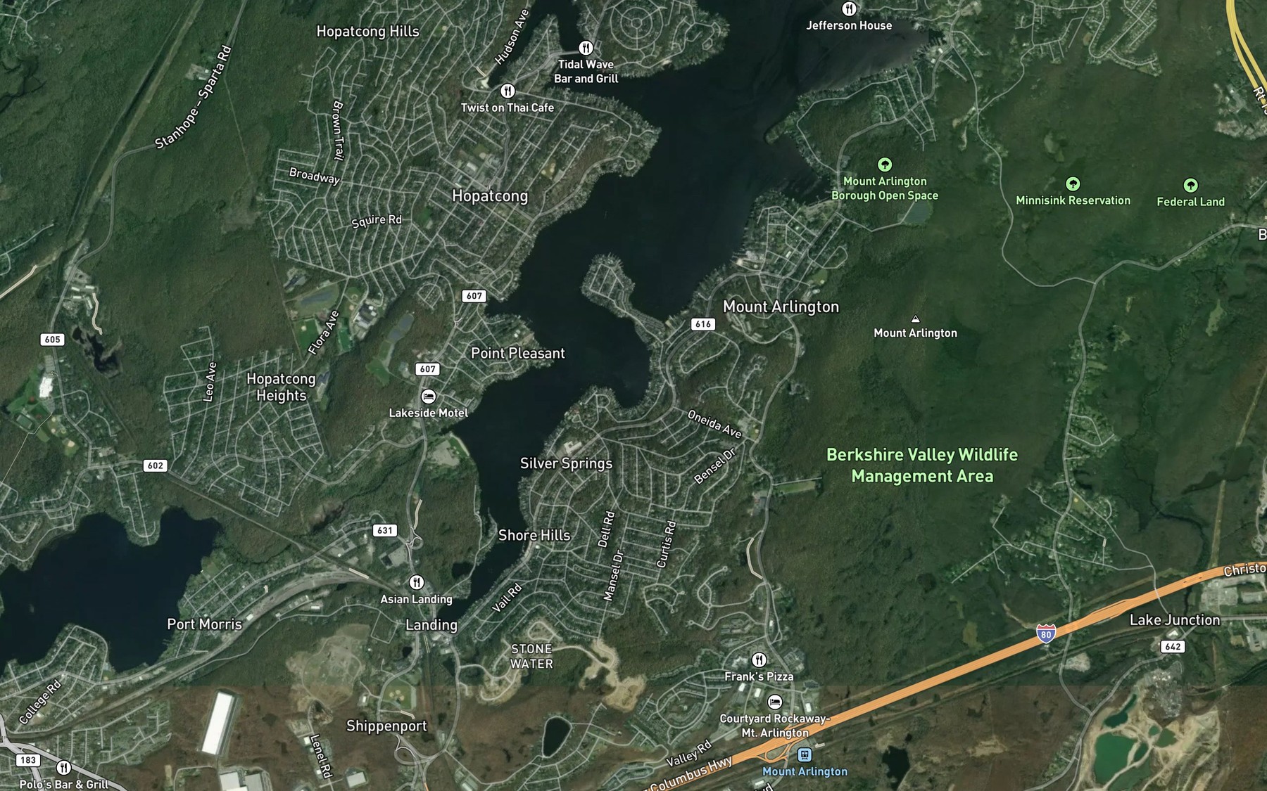 Satellite map of the King Cove