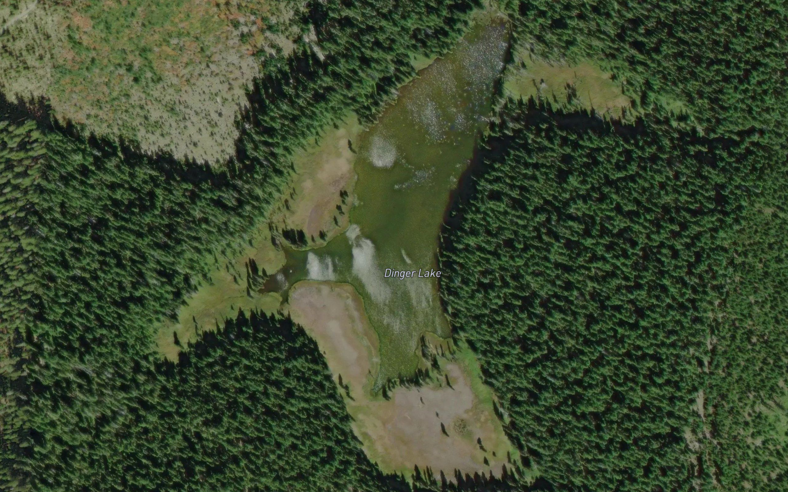 Dinger Lake