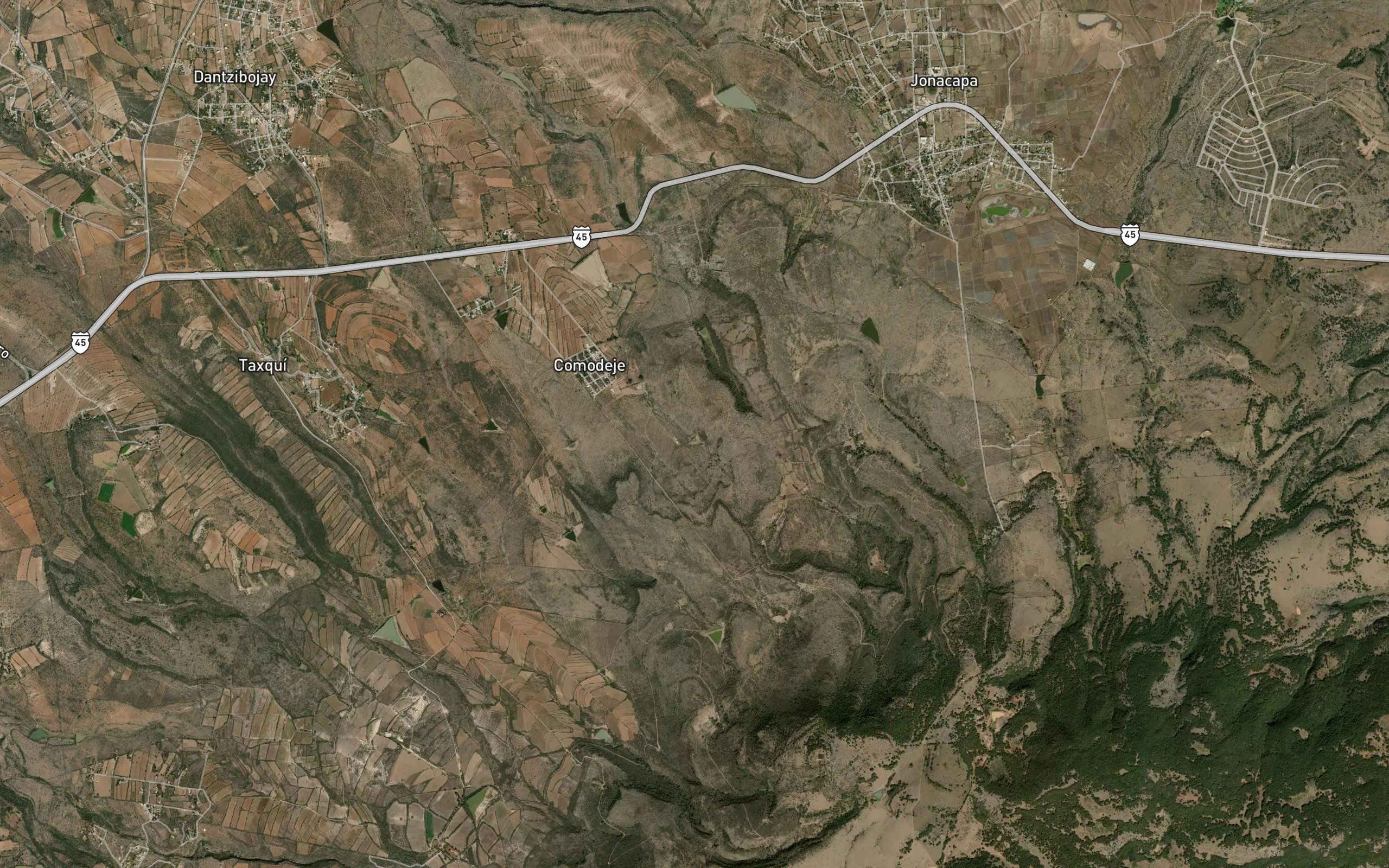 Bordo Palo Colorado