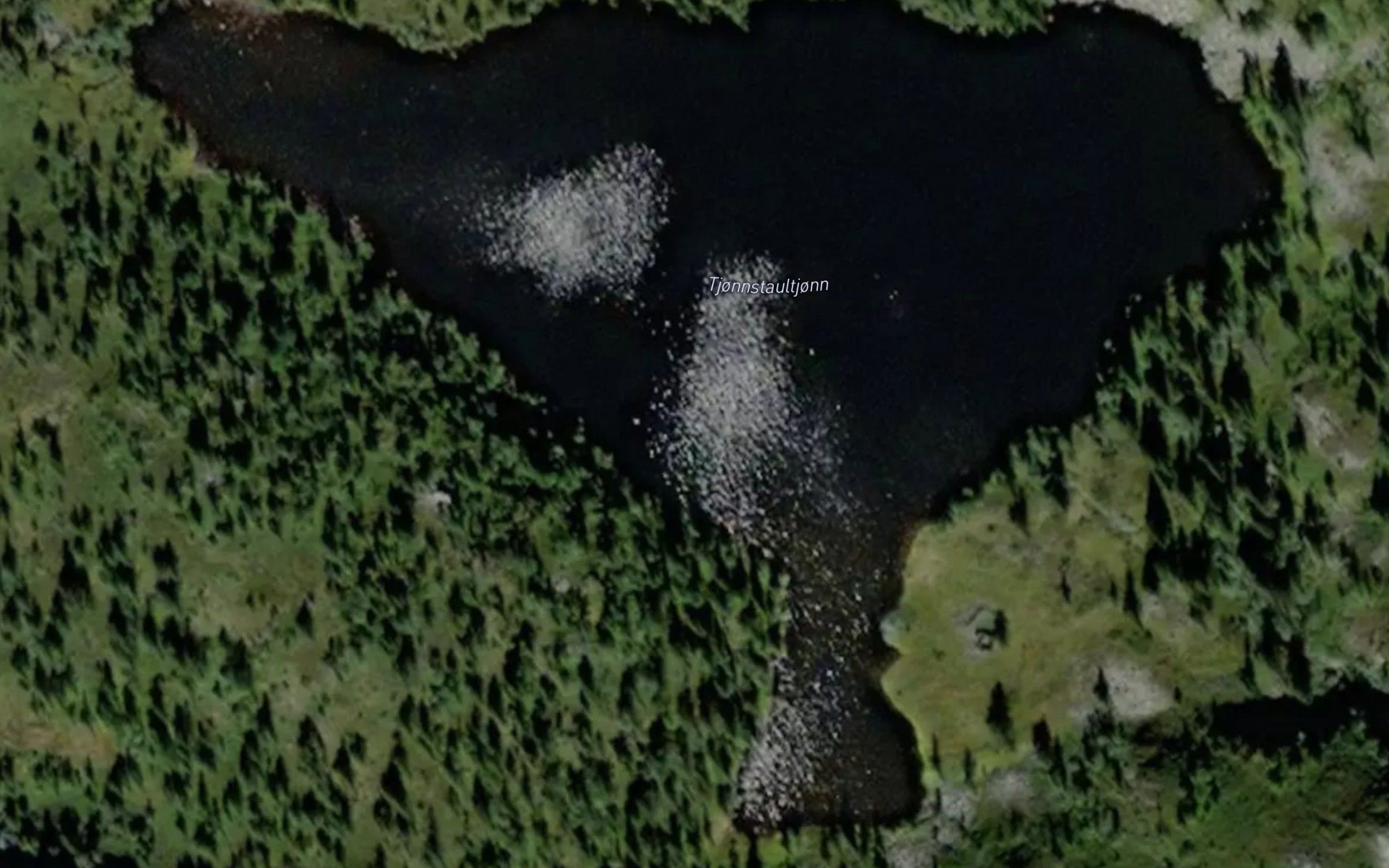 Tjornstaultjornan