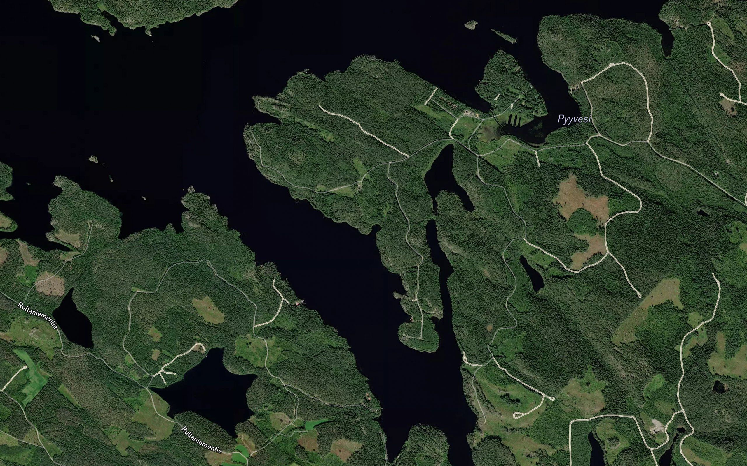 Hirvikaarre