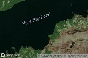 Hare Bay Pond