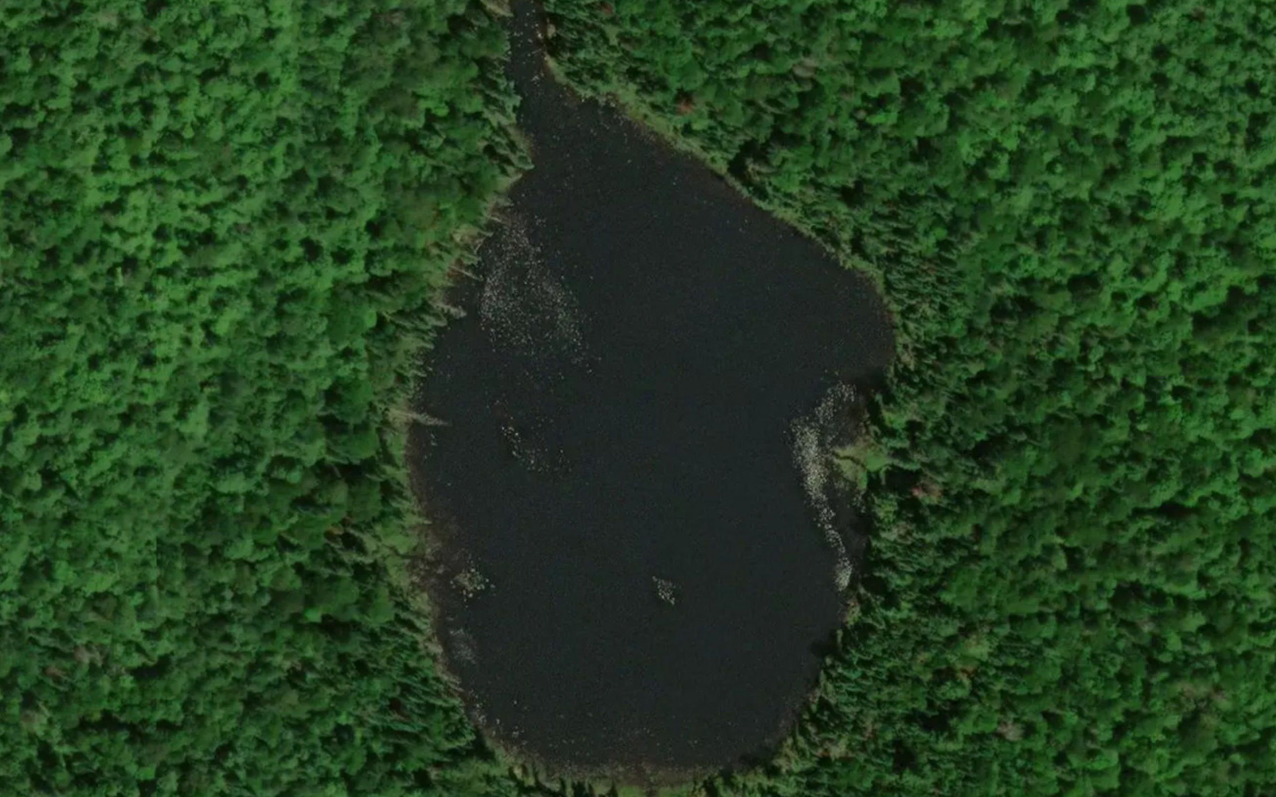 Lac du Criquet
