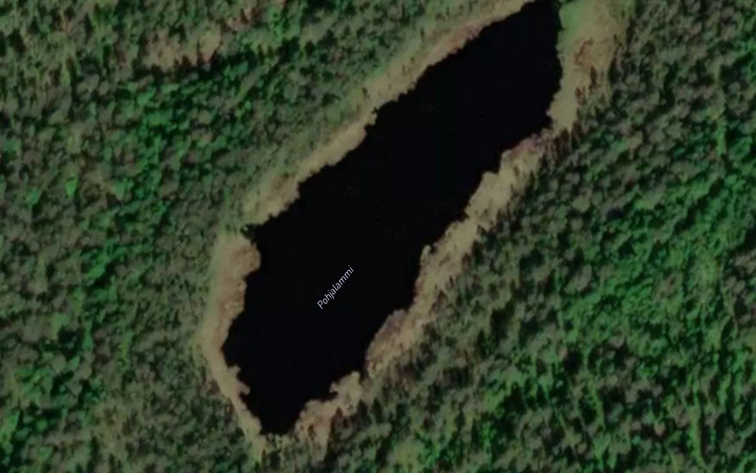Pohjalammi