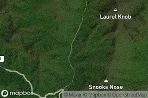 Left Prong Newberry Creek