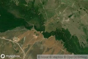 Canada Los Chiguiros