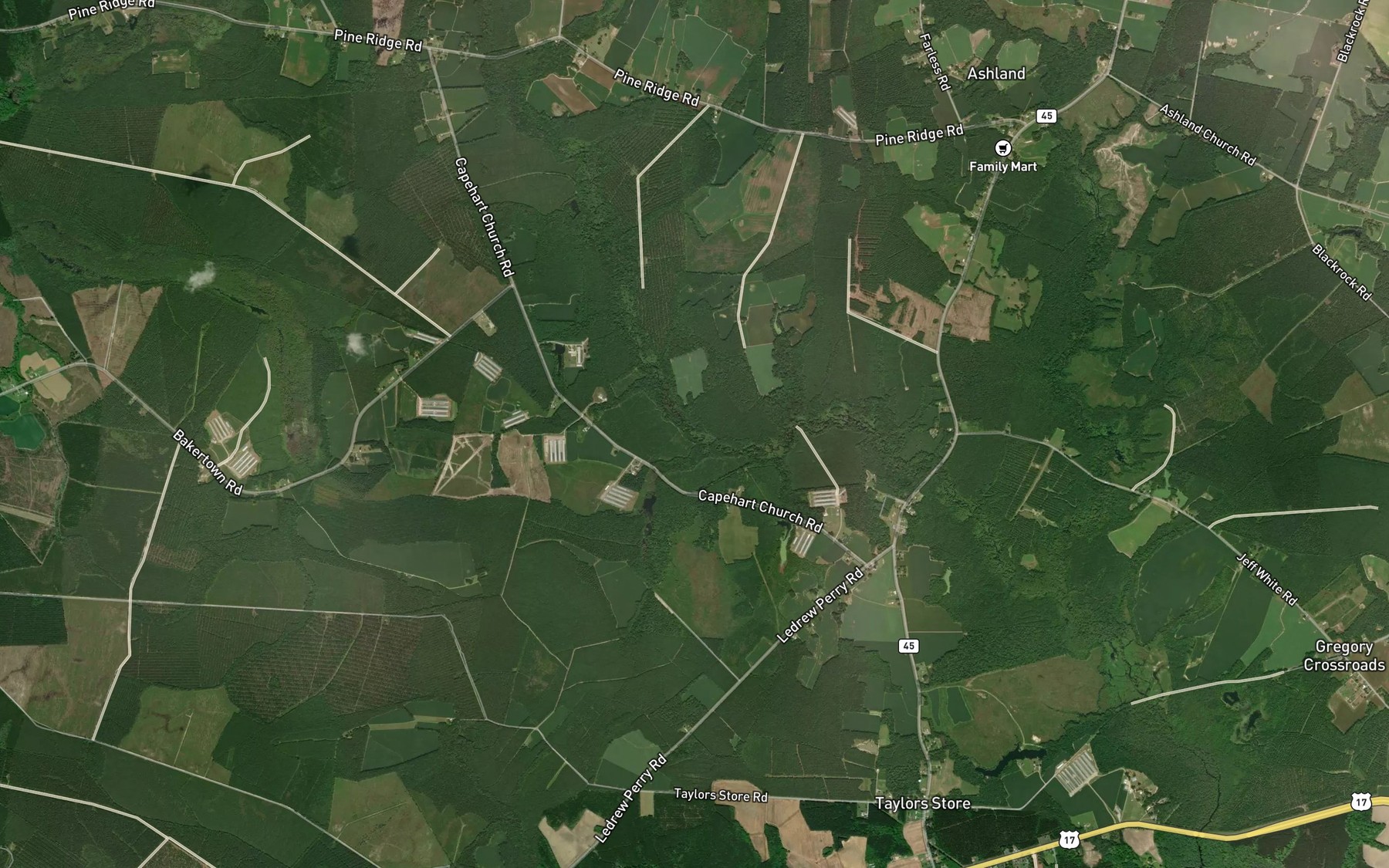 Satellite map of the Dunmore Branch
