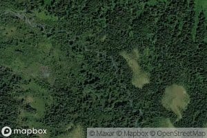 Moose Creek