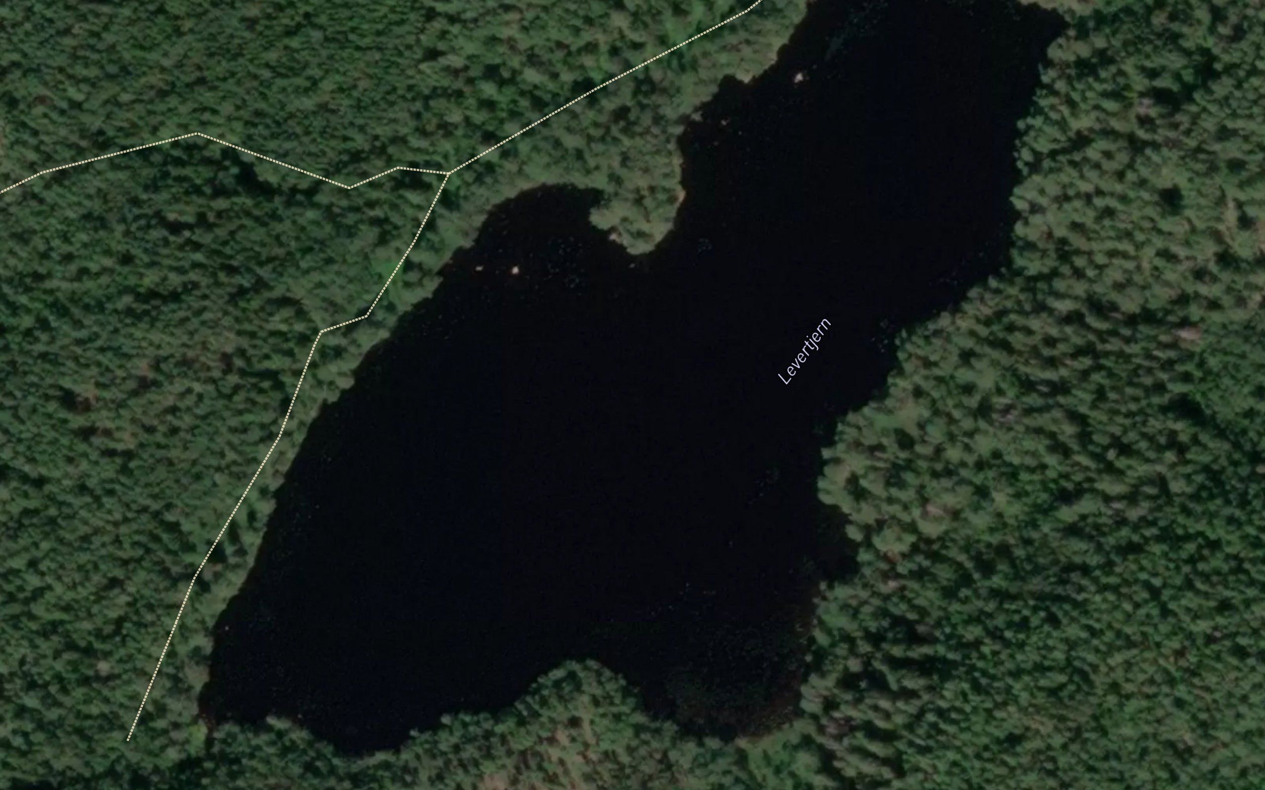 Levertjern