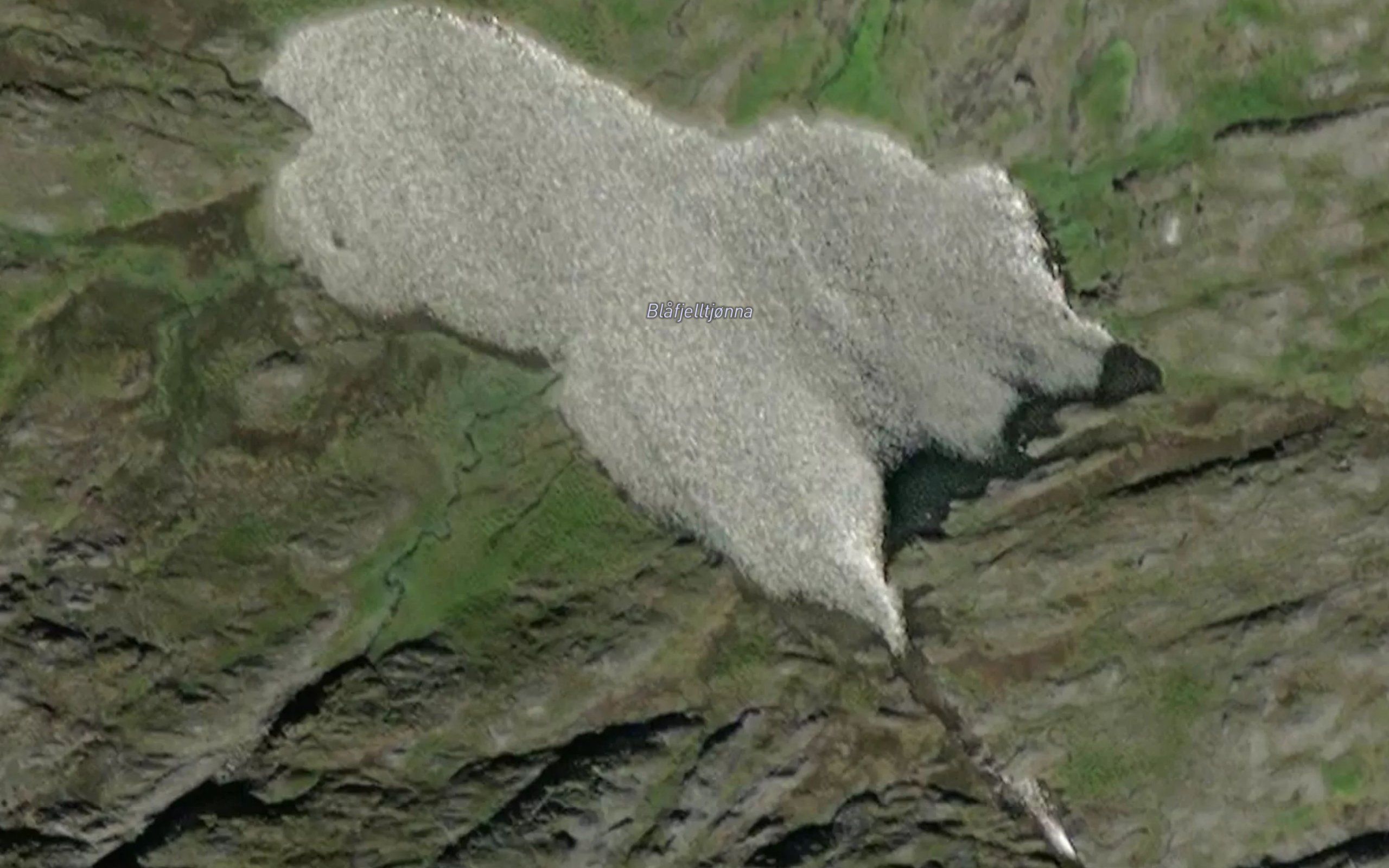 Blafjelltjorna