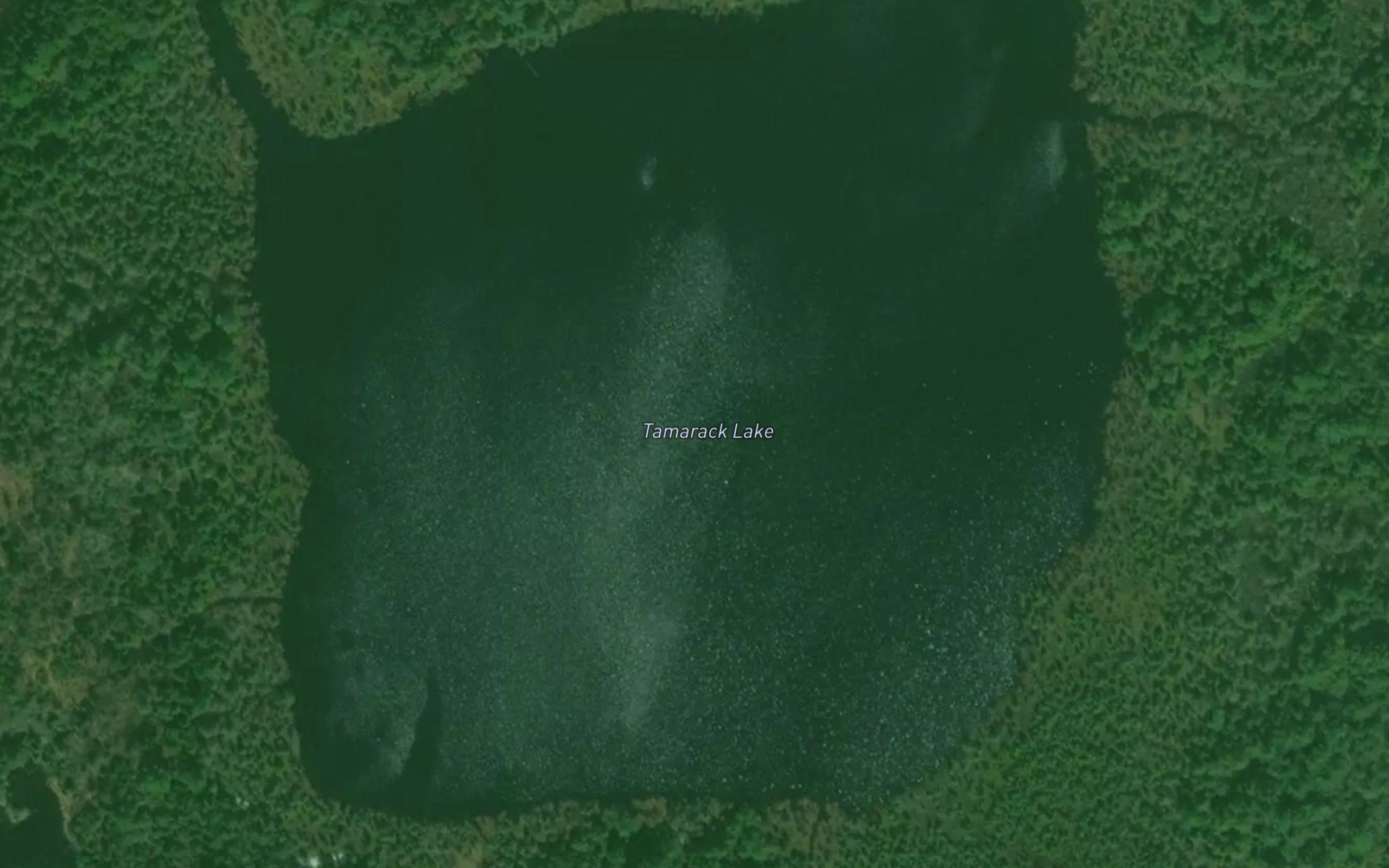 Tamarack Lake