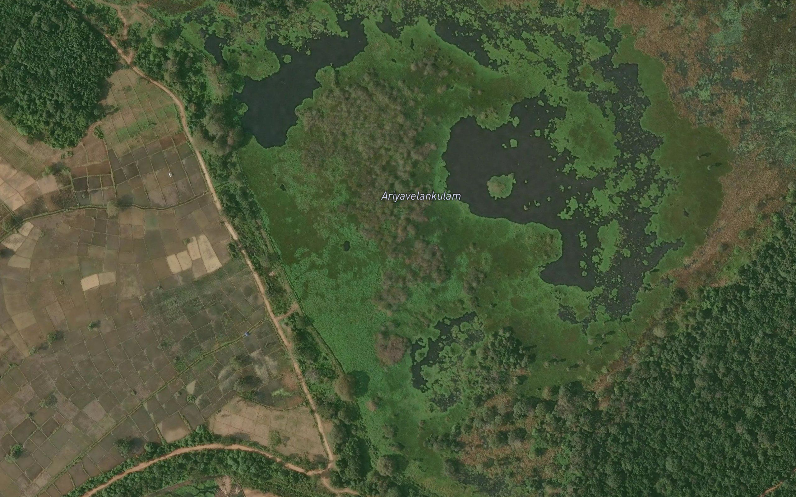 Velan Kulam