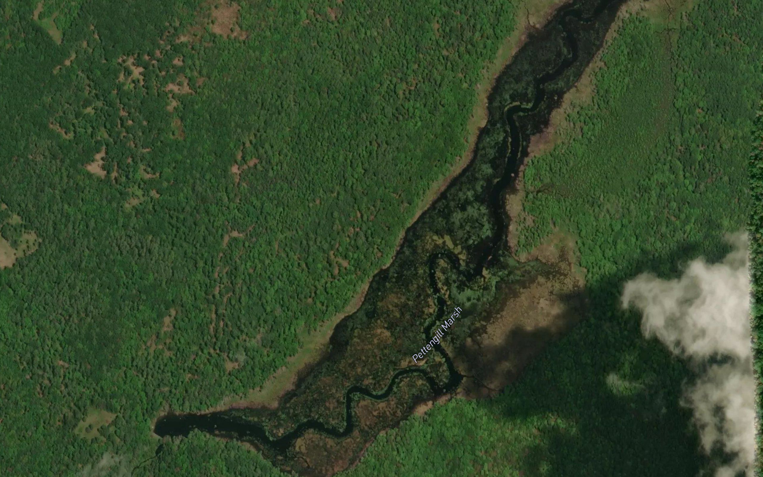 Pettengill Marsh
