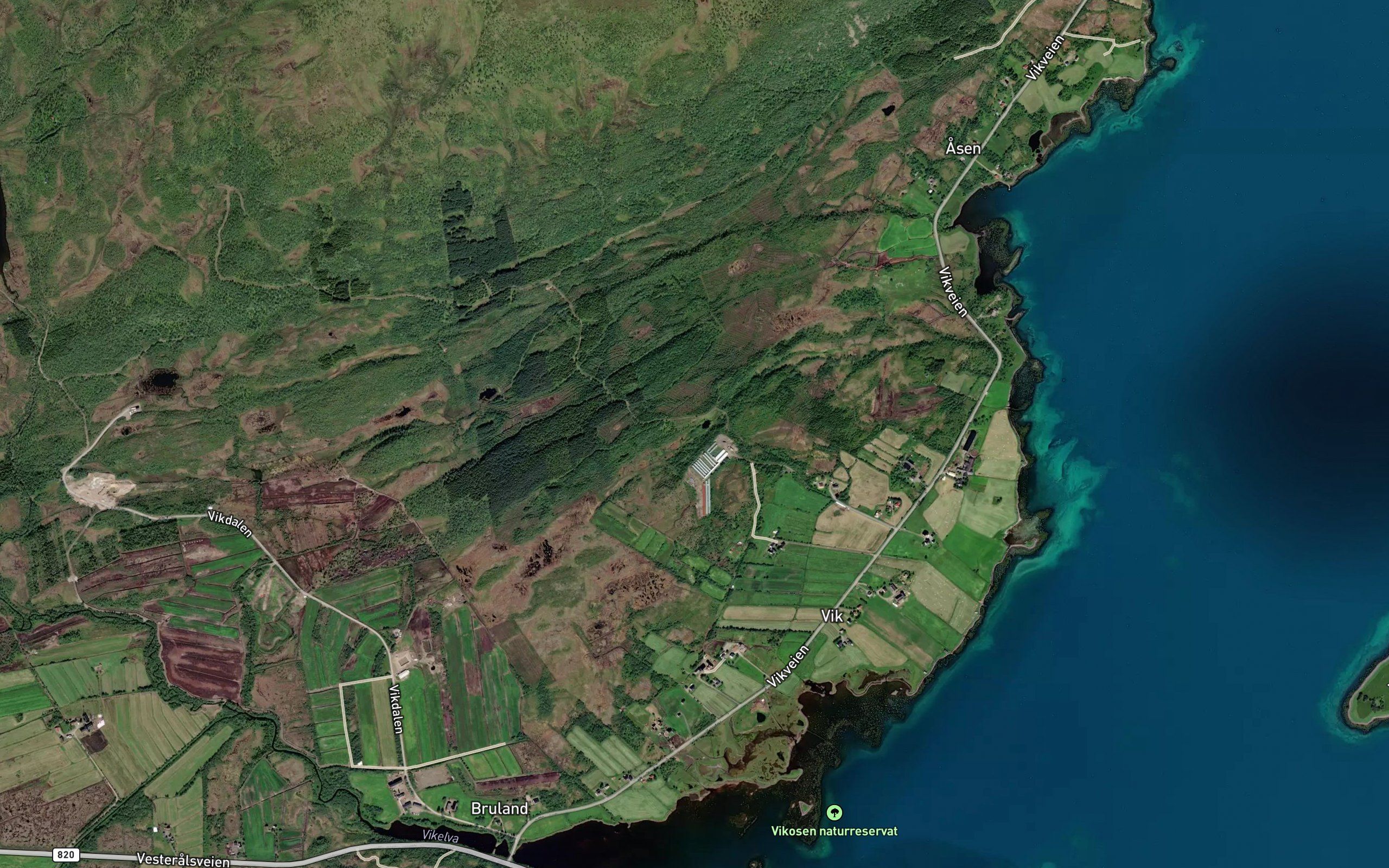 Lomstjorna