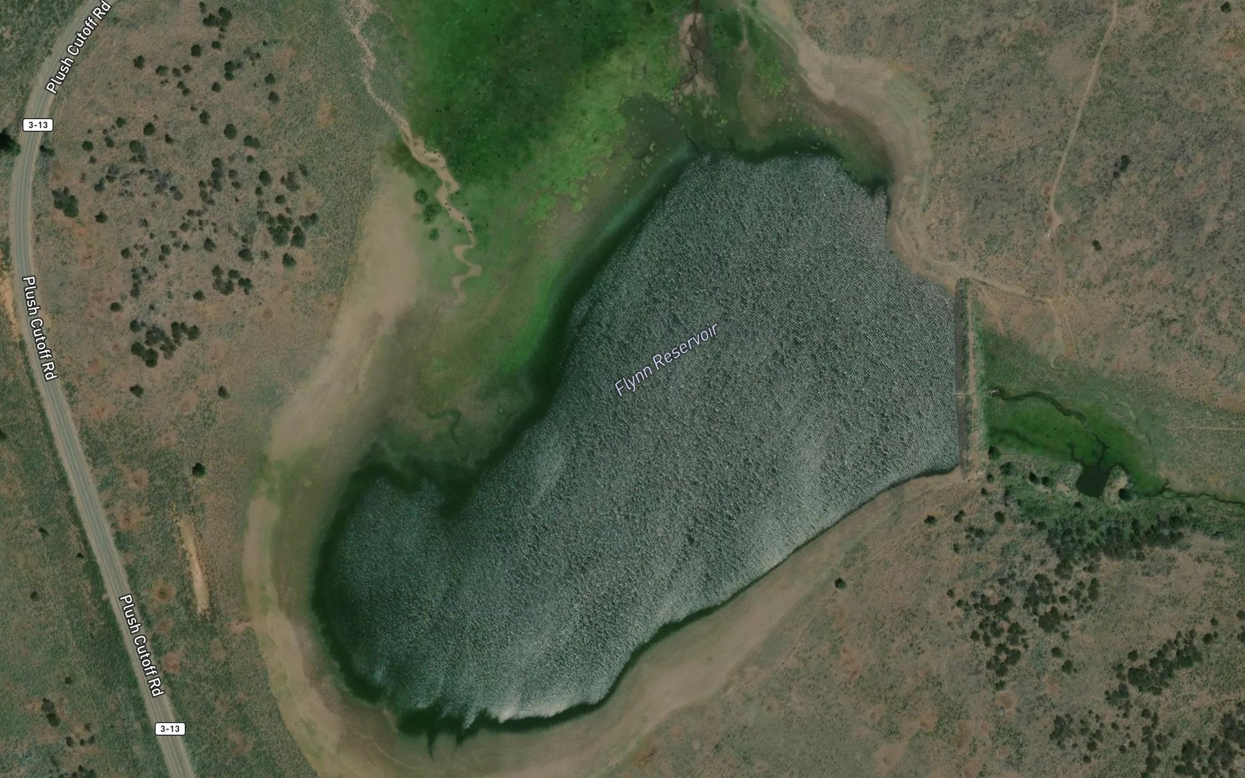 Satellite map of the Flynn Reservoir
