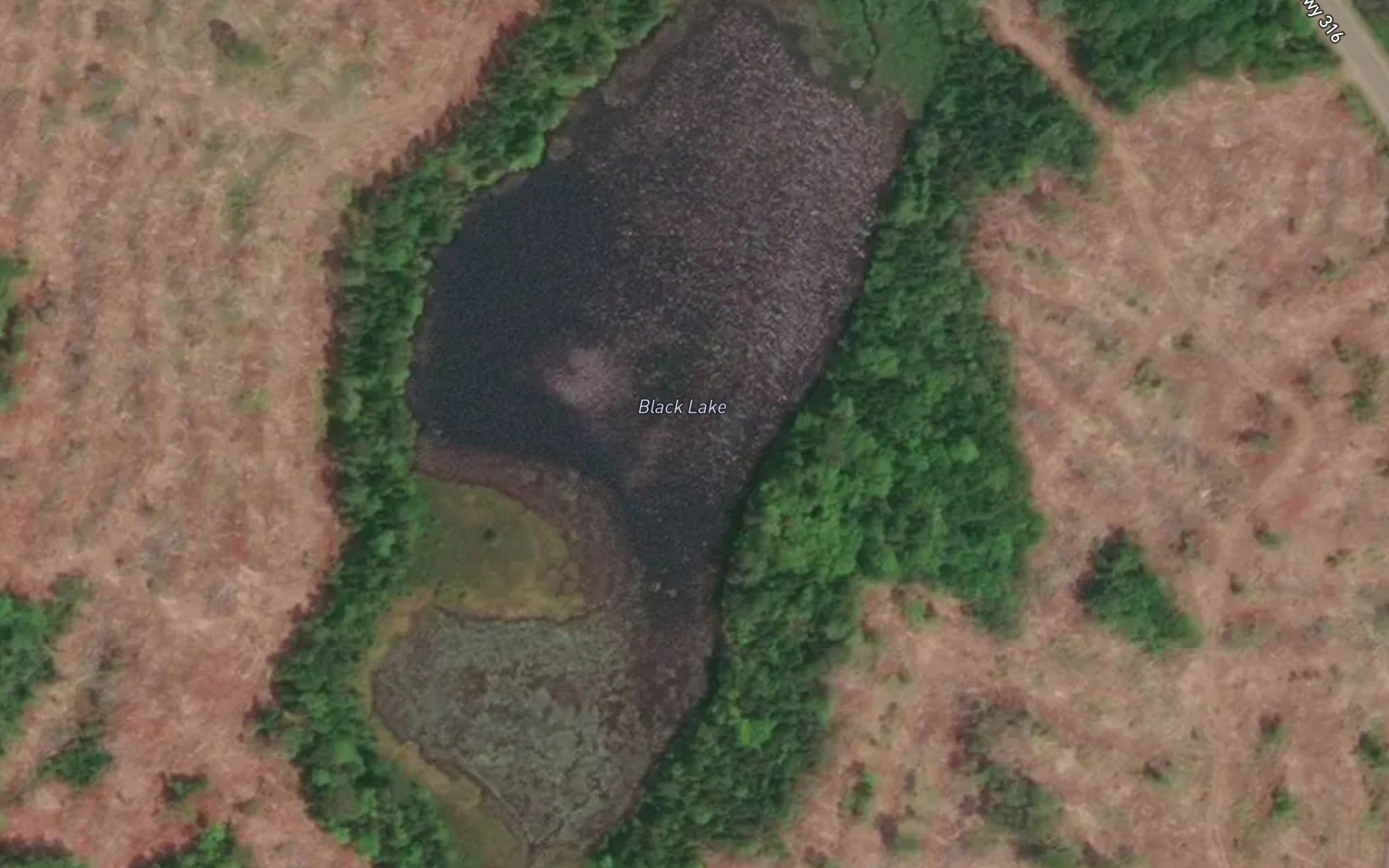 Black Lake