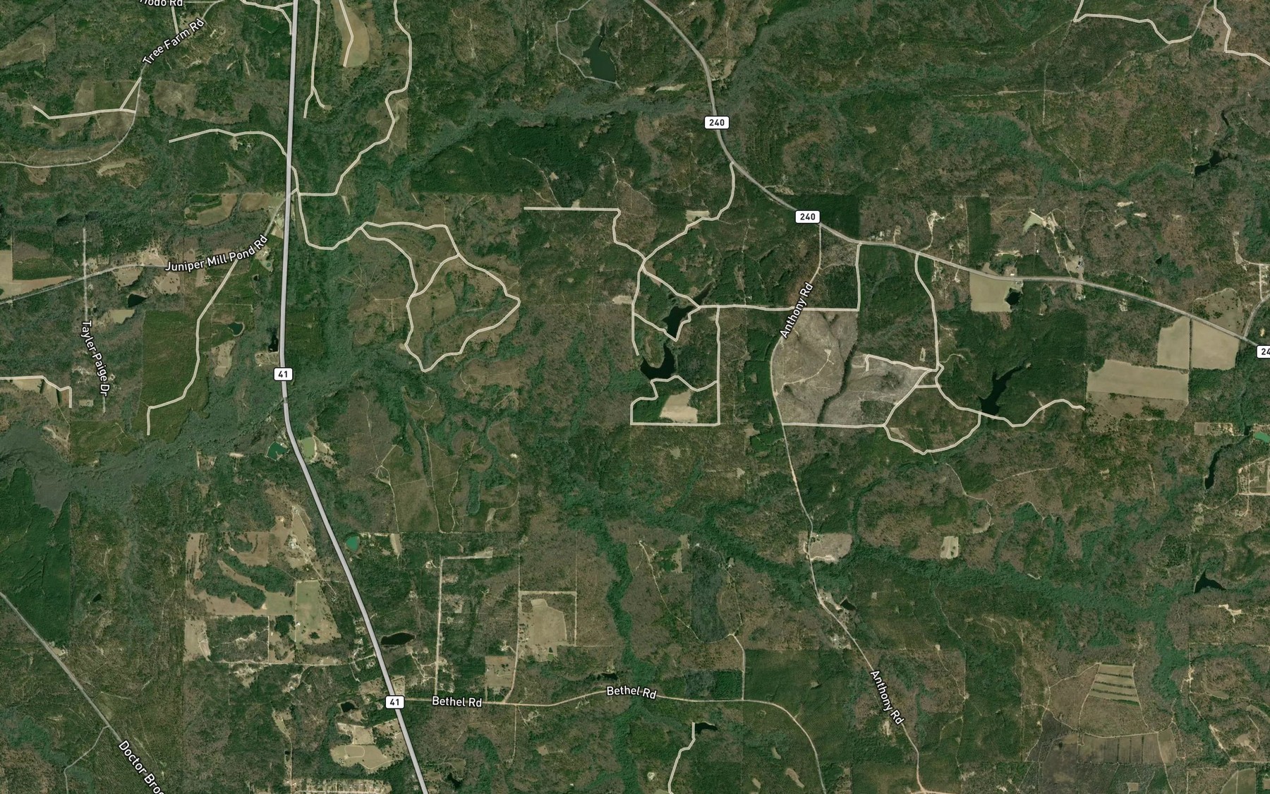 Satellite map of the South Williams Lake