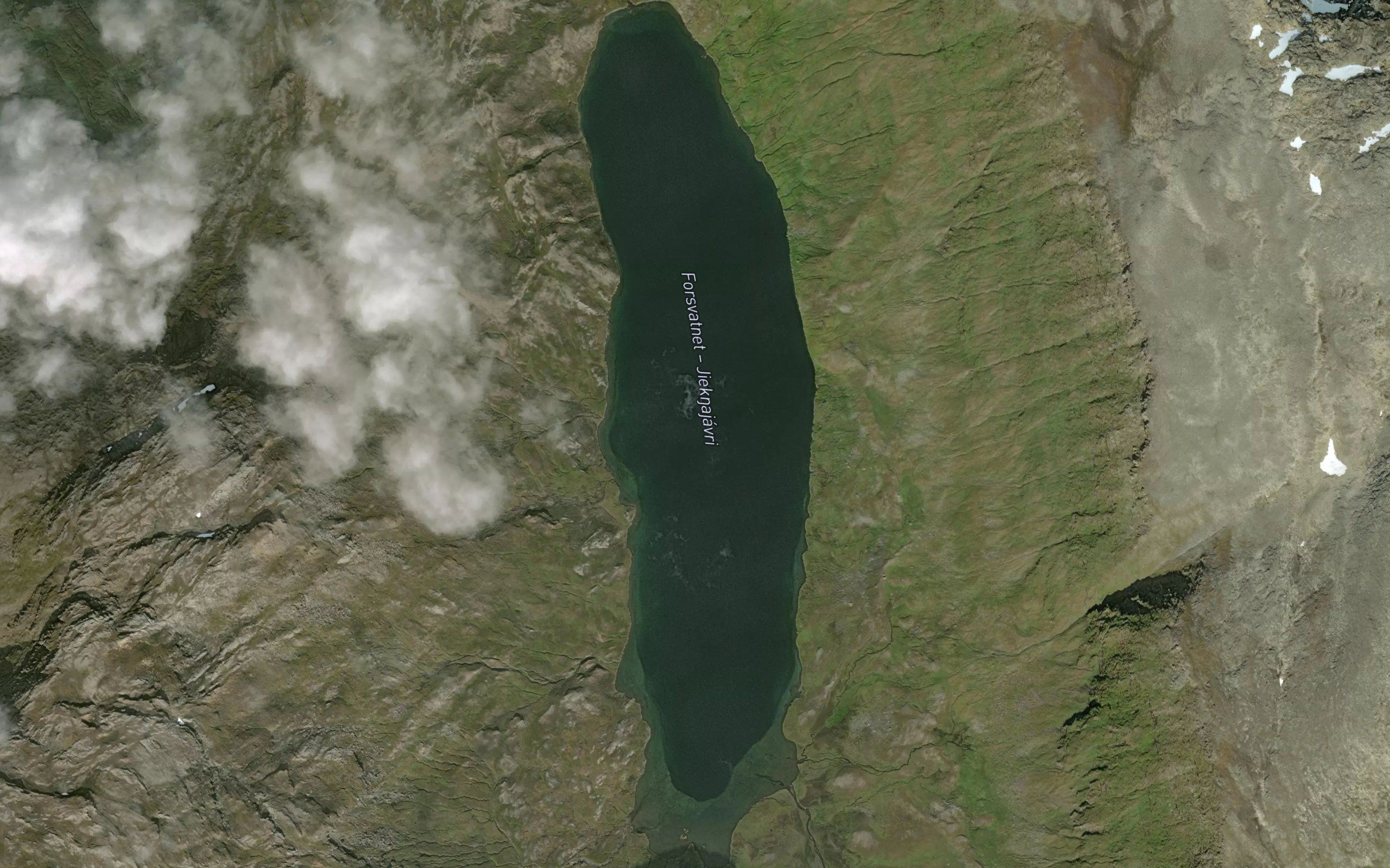 Forsvatnet