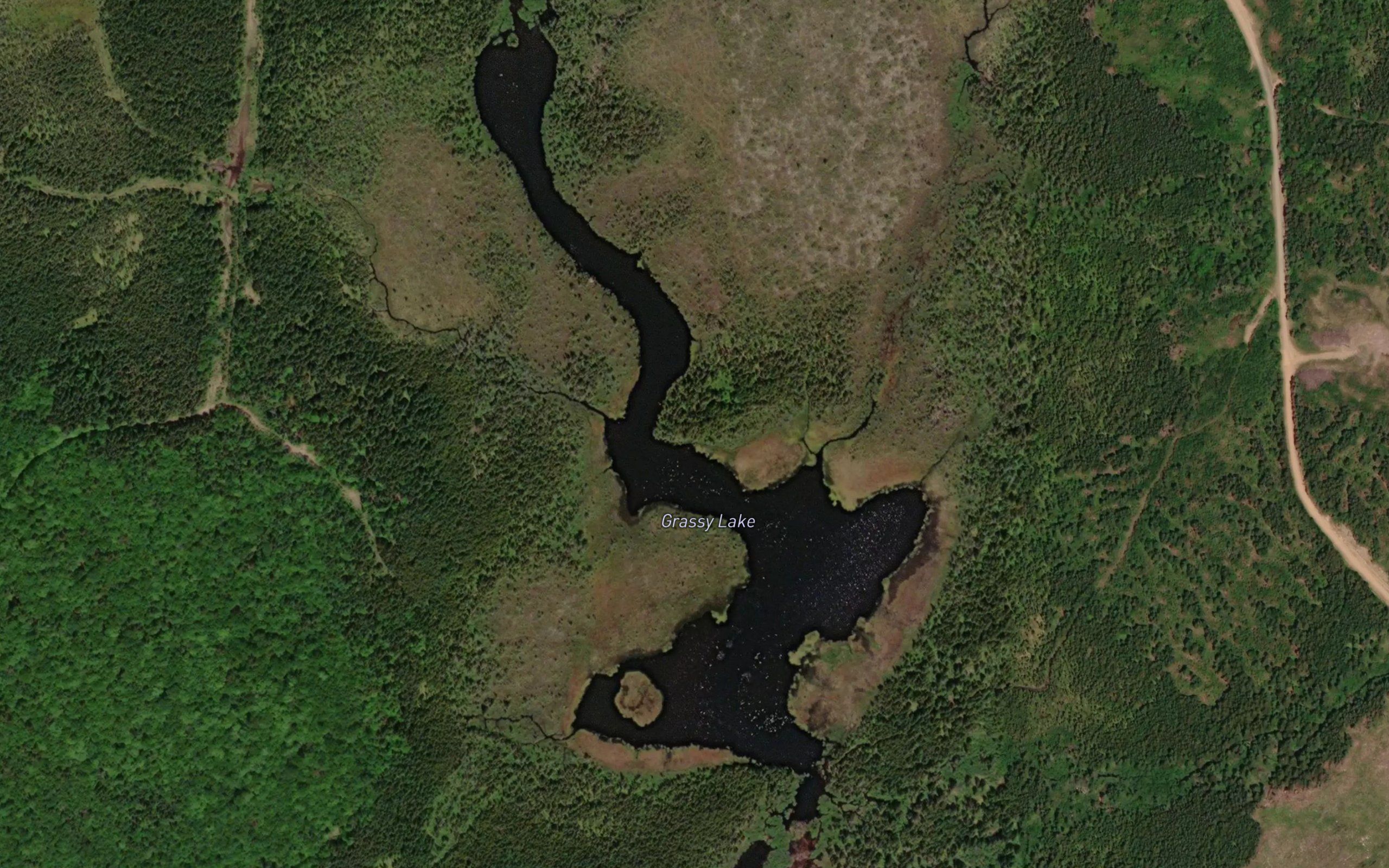 Grassy Lake