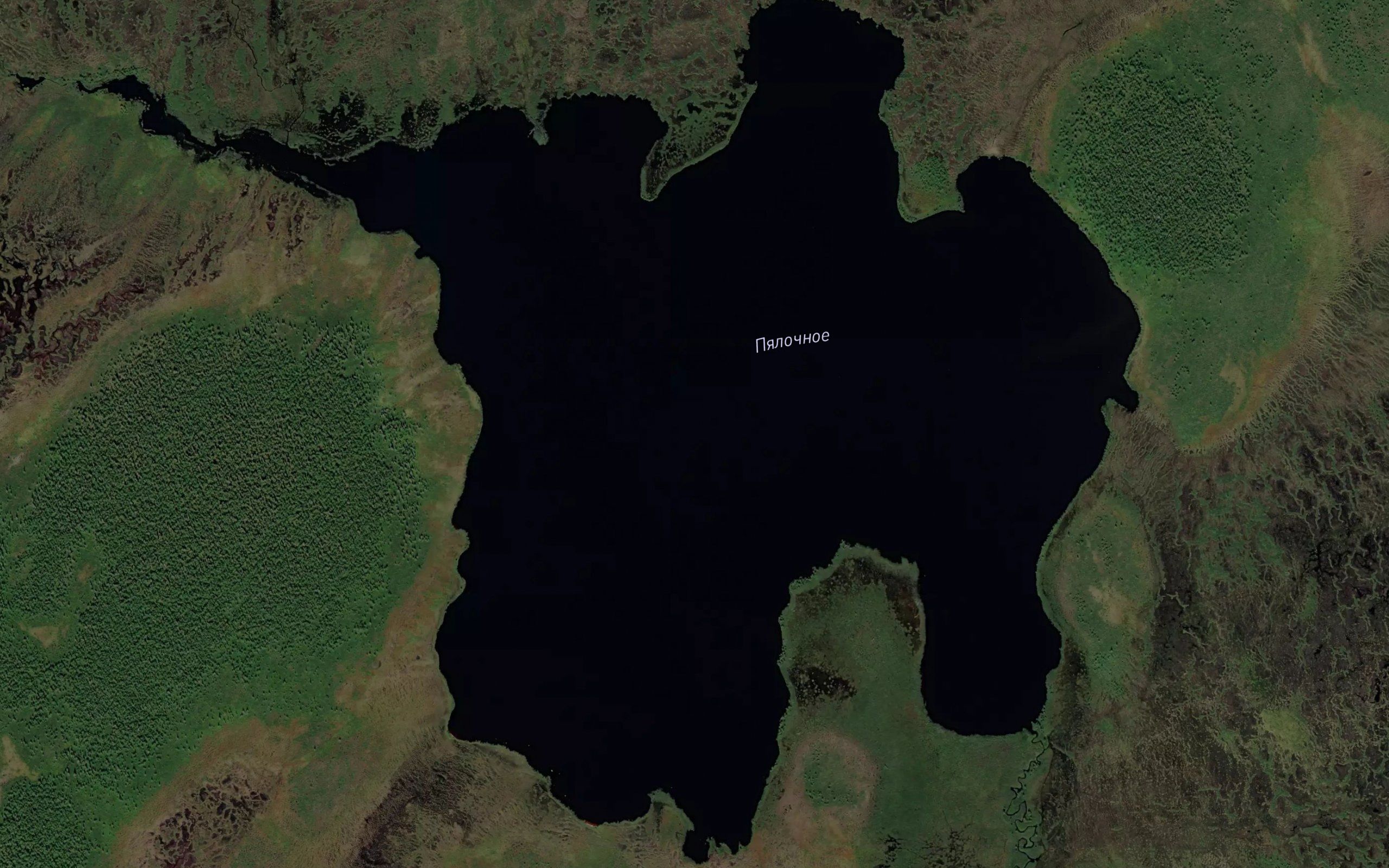 Ozero Pyalochnoye