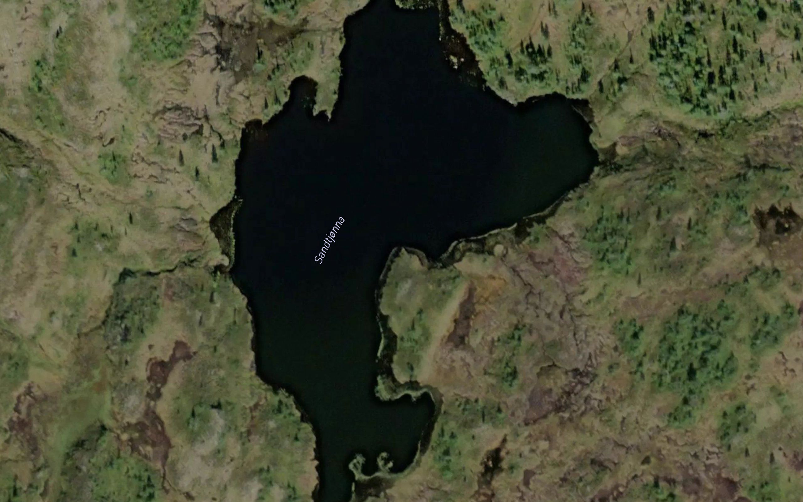 Sandtjorna