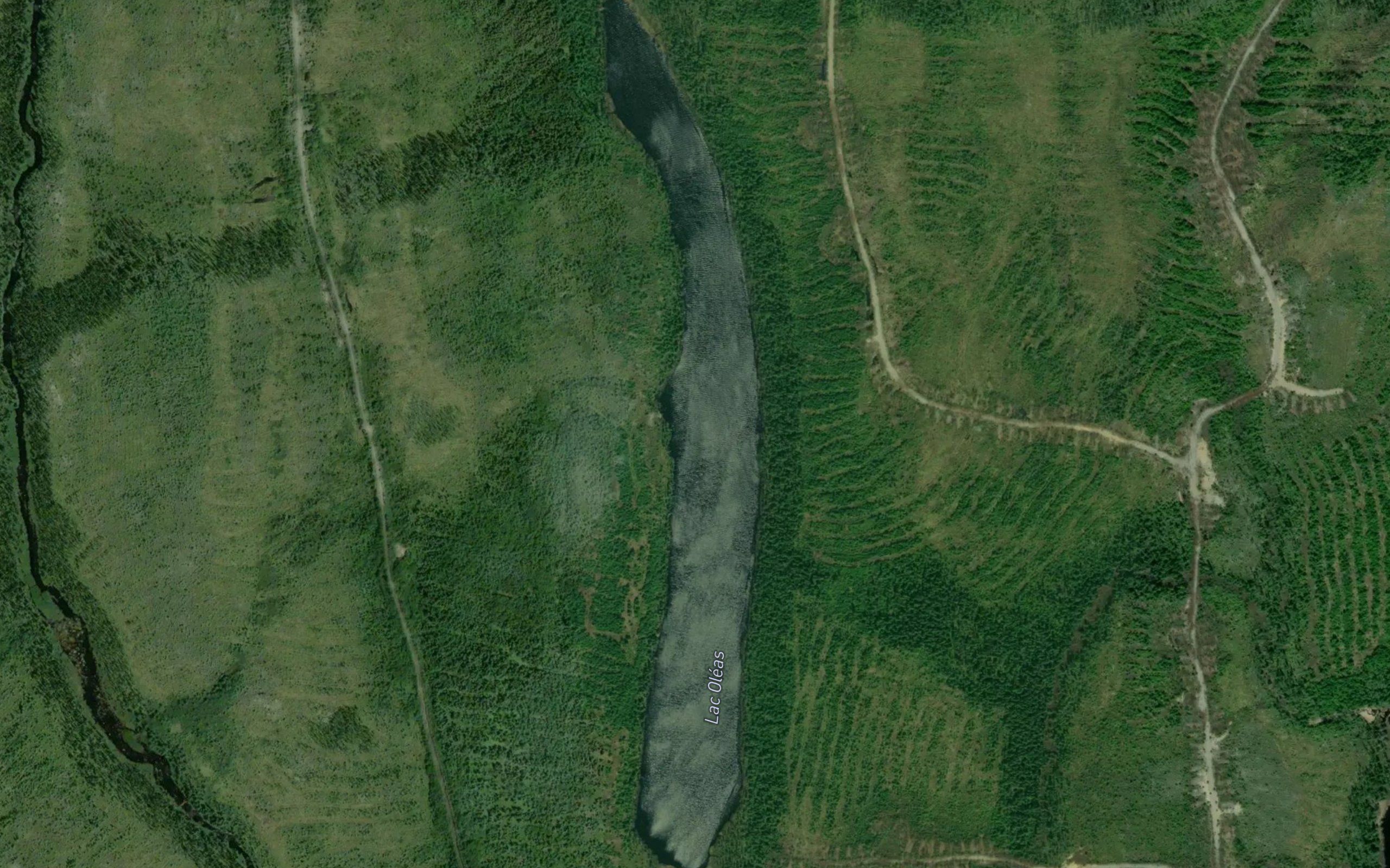 Lac Oleas