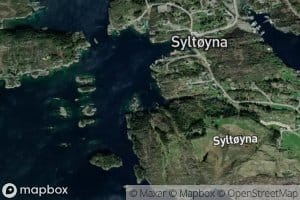 Traesvika