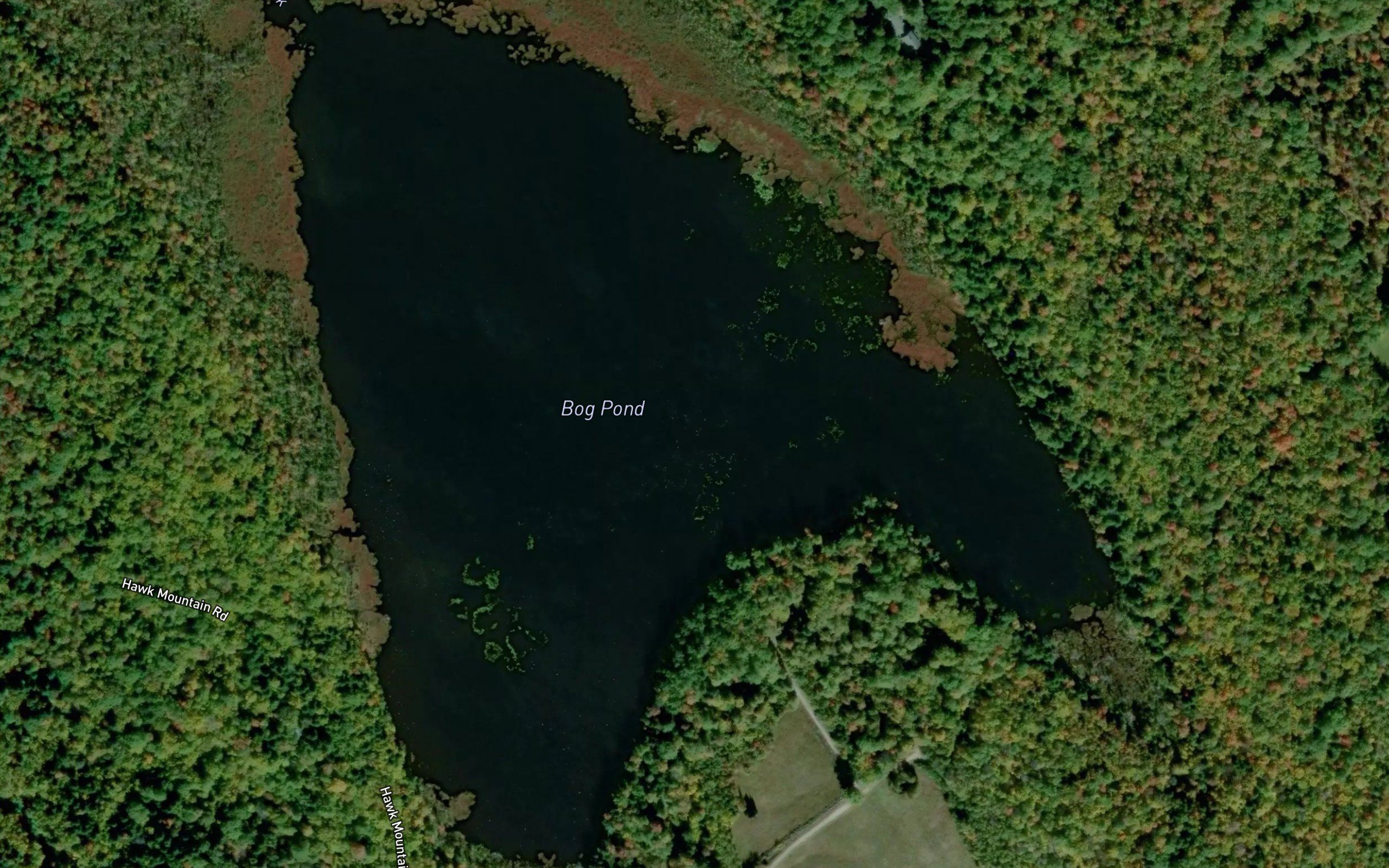 Bog Pond