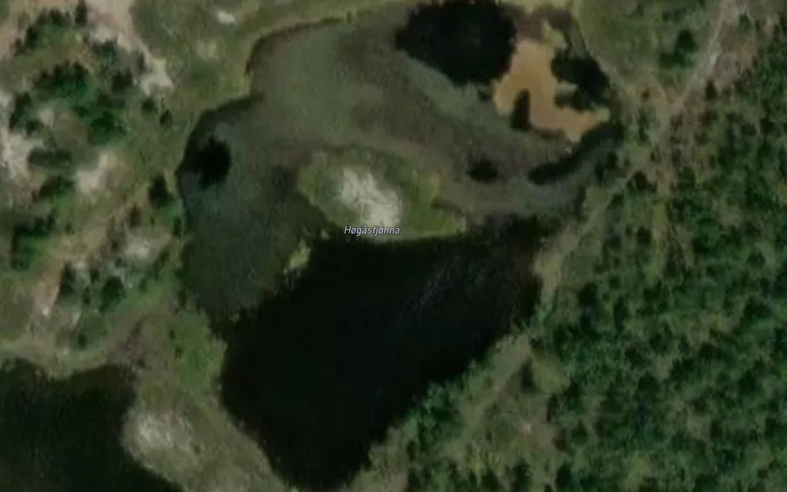 Hogastjonna