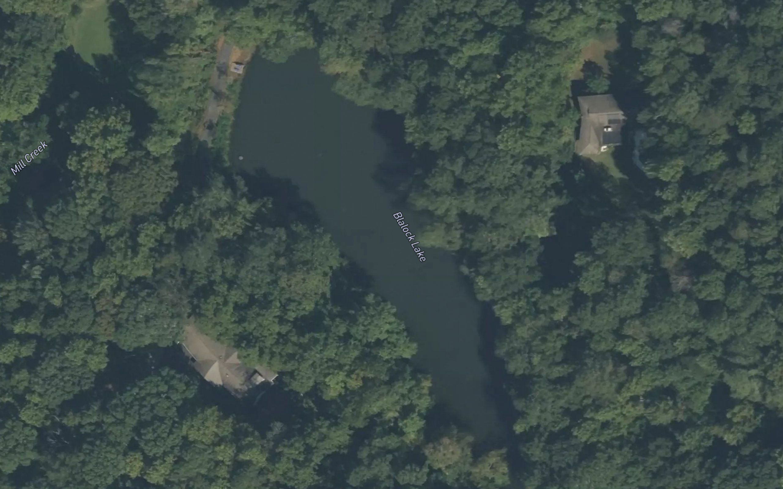 Blalock Lake