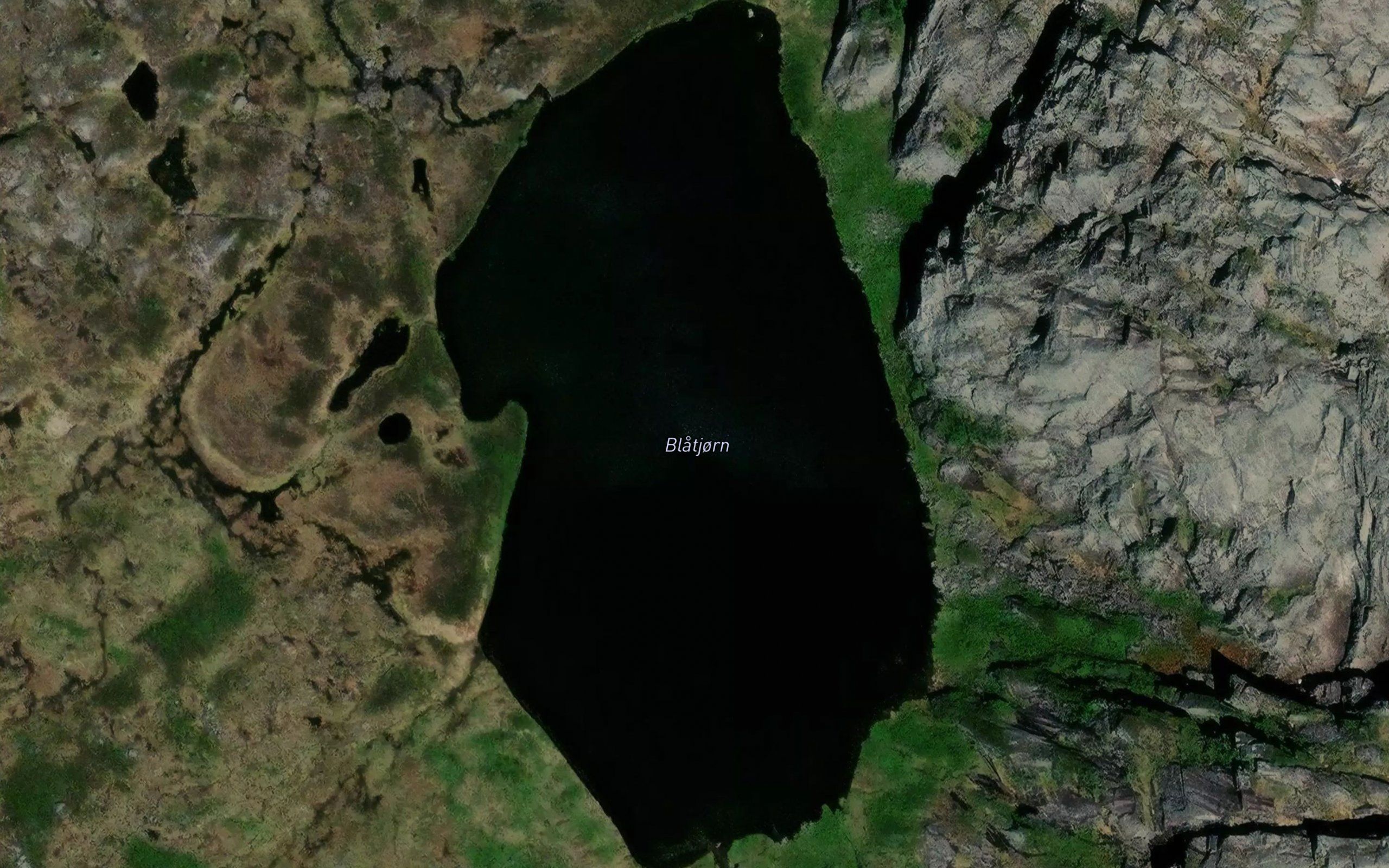 Blatjorn