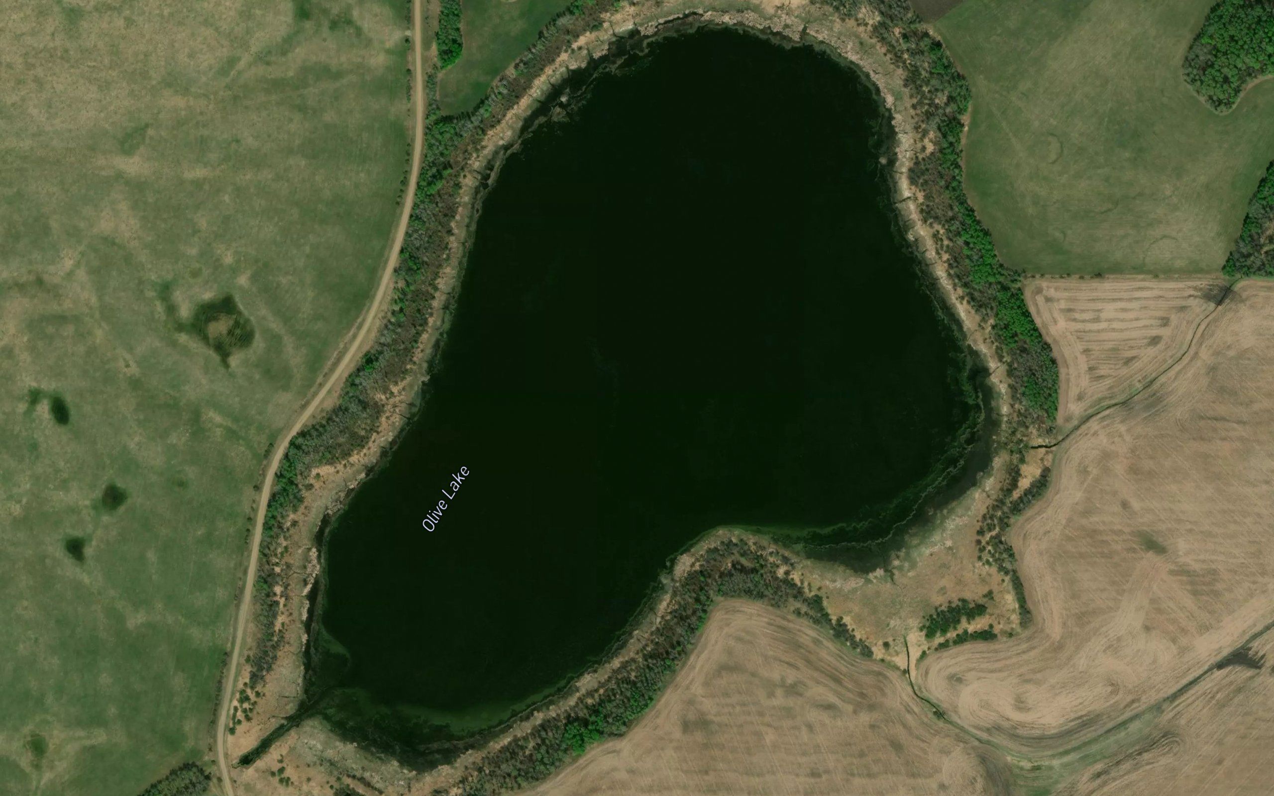 Olive Lake