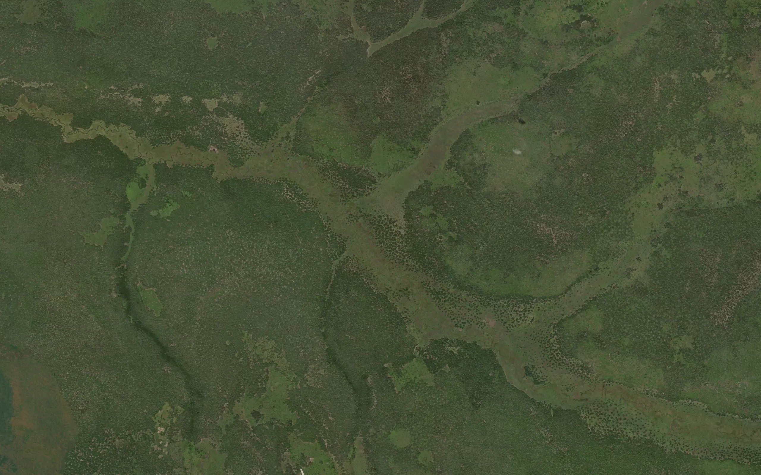 Camibala